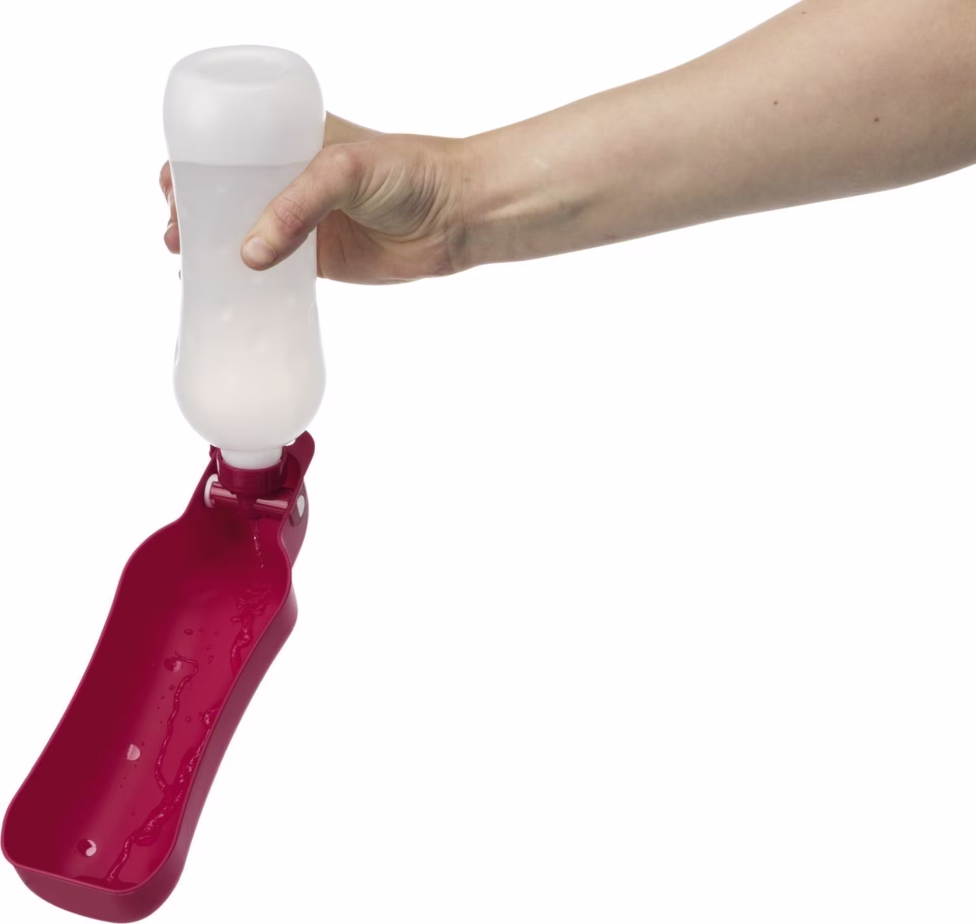 Jollypaw Bouteille avec écuelle en acier inoxydable/plastique 500 ml