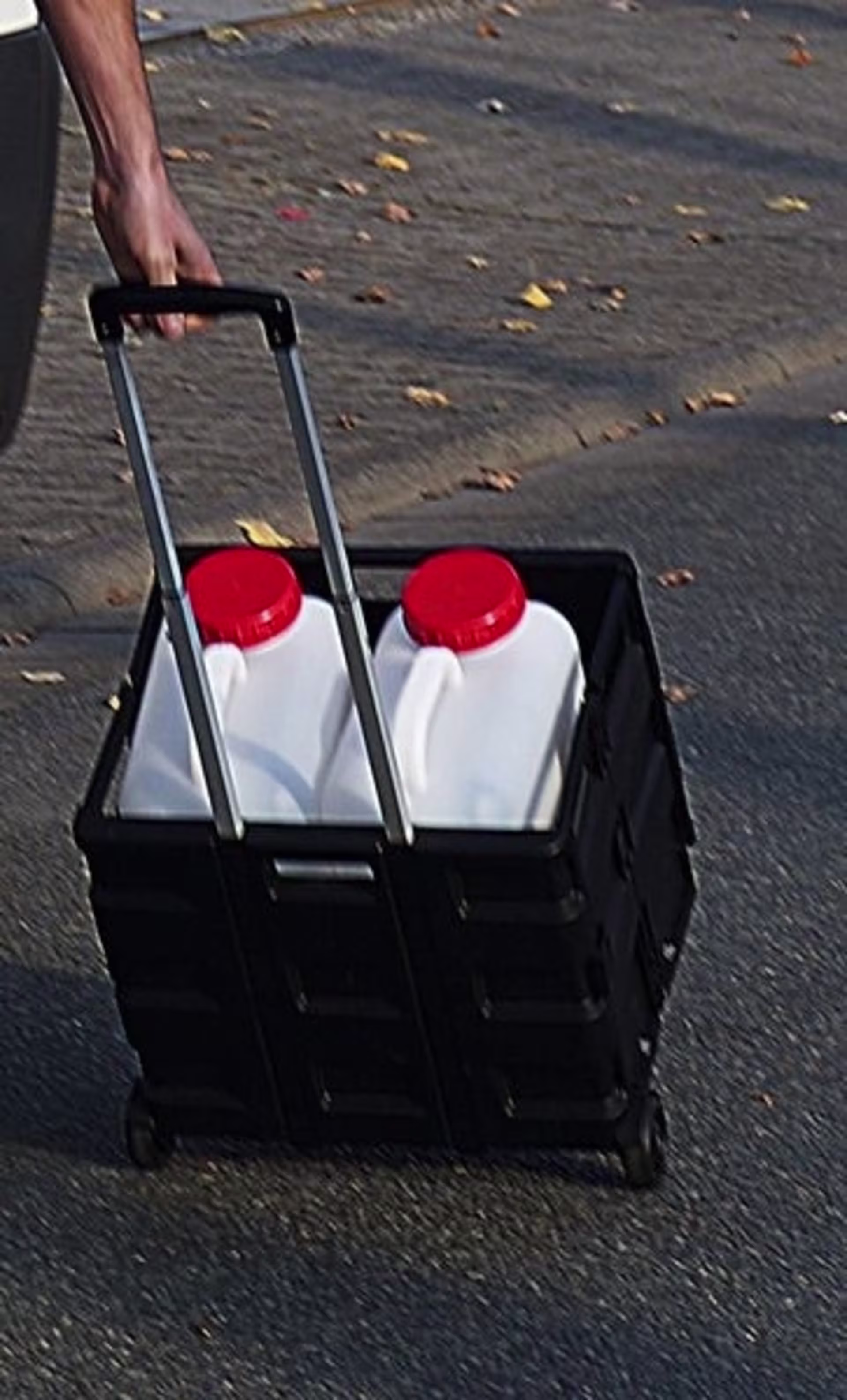 Transportwagen mit Faltbox und ausziehbarem Griff, Tragkraft 35kg