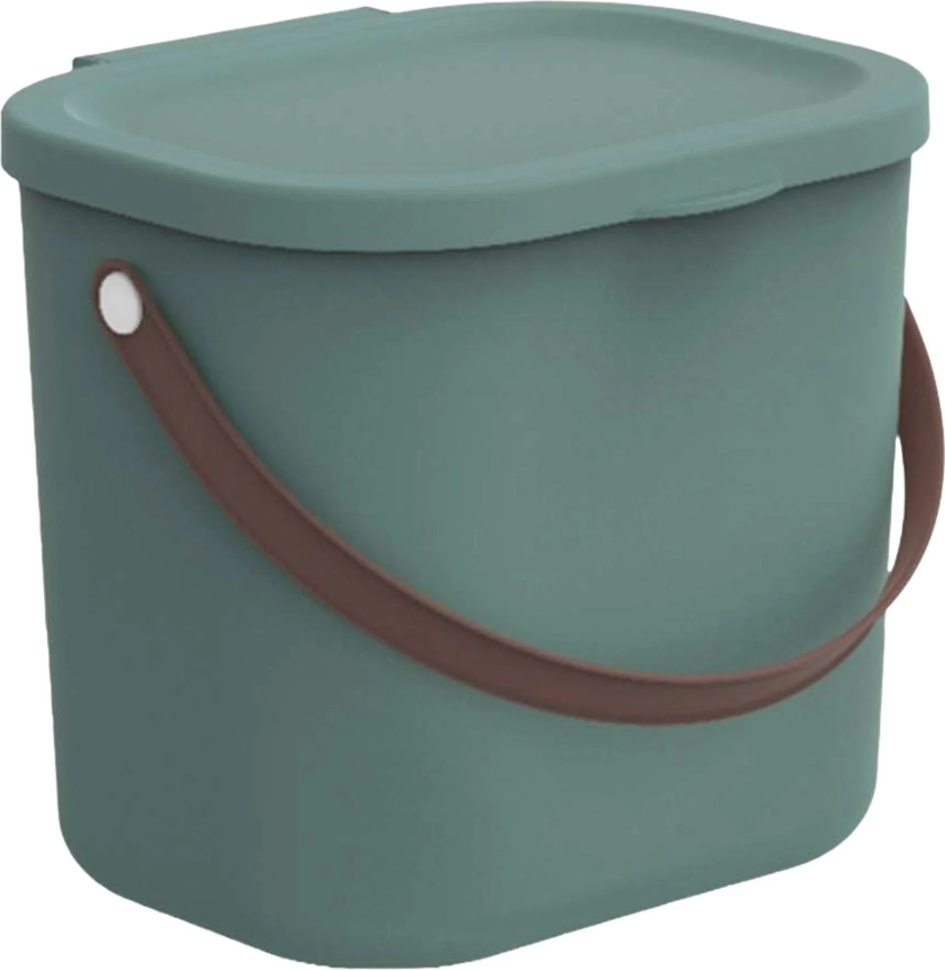 Boîte de rangement Rotho Albula 6 litres, vert « Mistletoe »