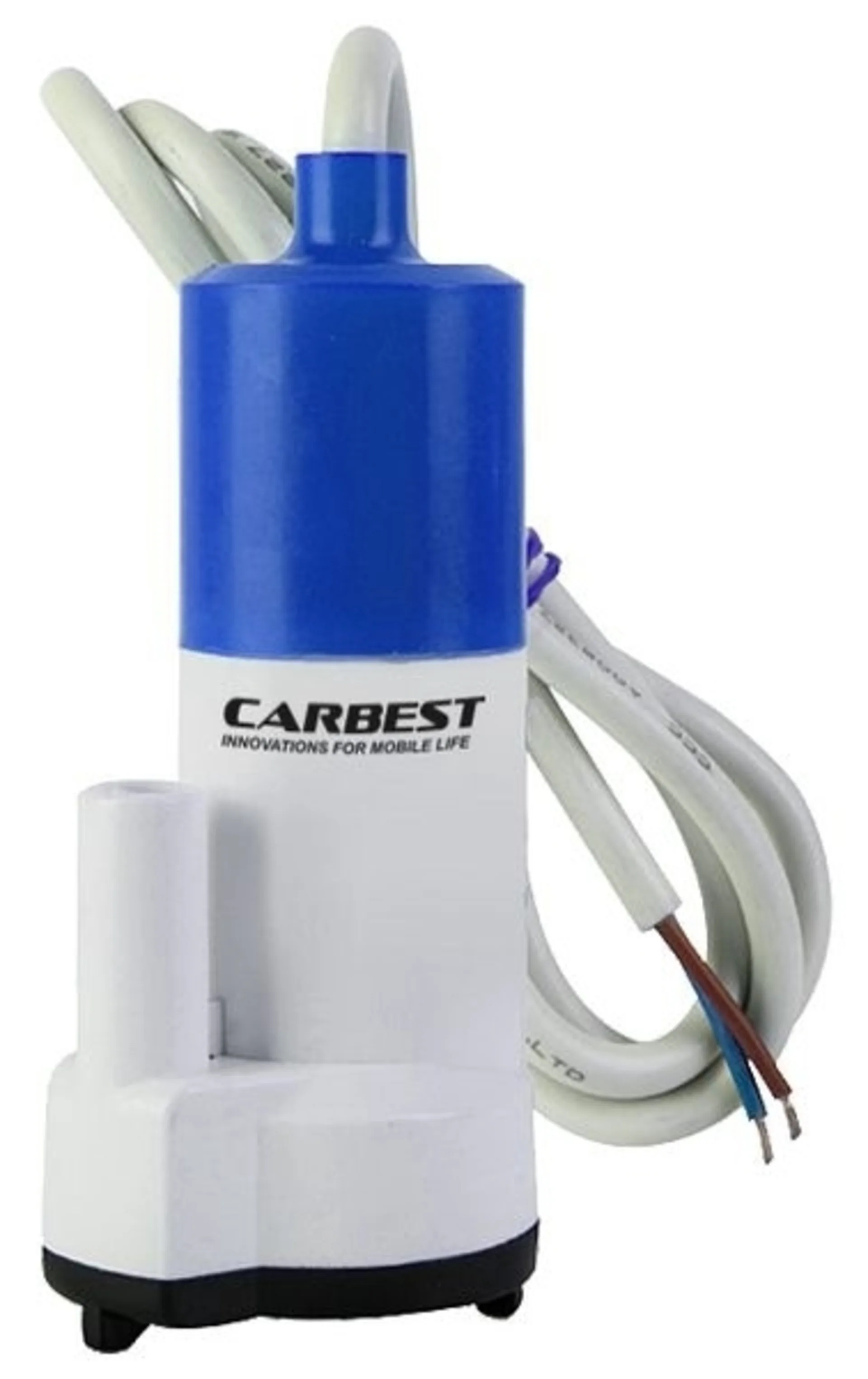 Carbest Tauchpumpe 16 Liter pro Minute, 12 Volt