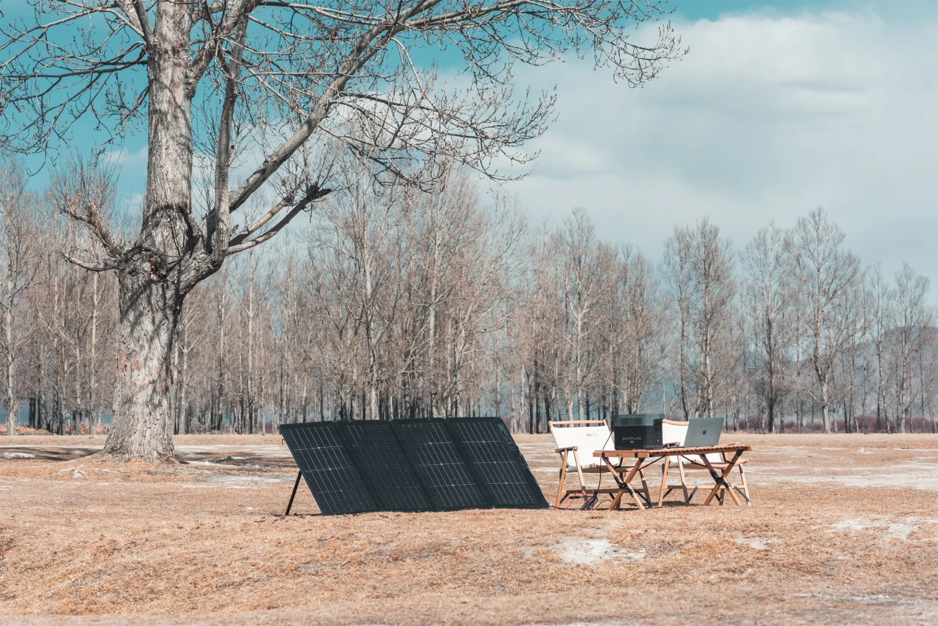EcoFlow Bifaziales Tragbares Solarpanel 220 W