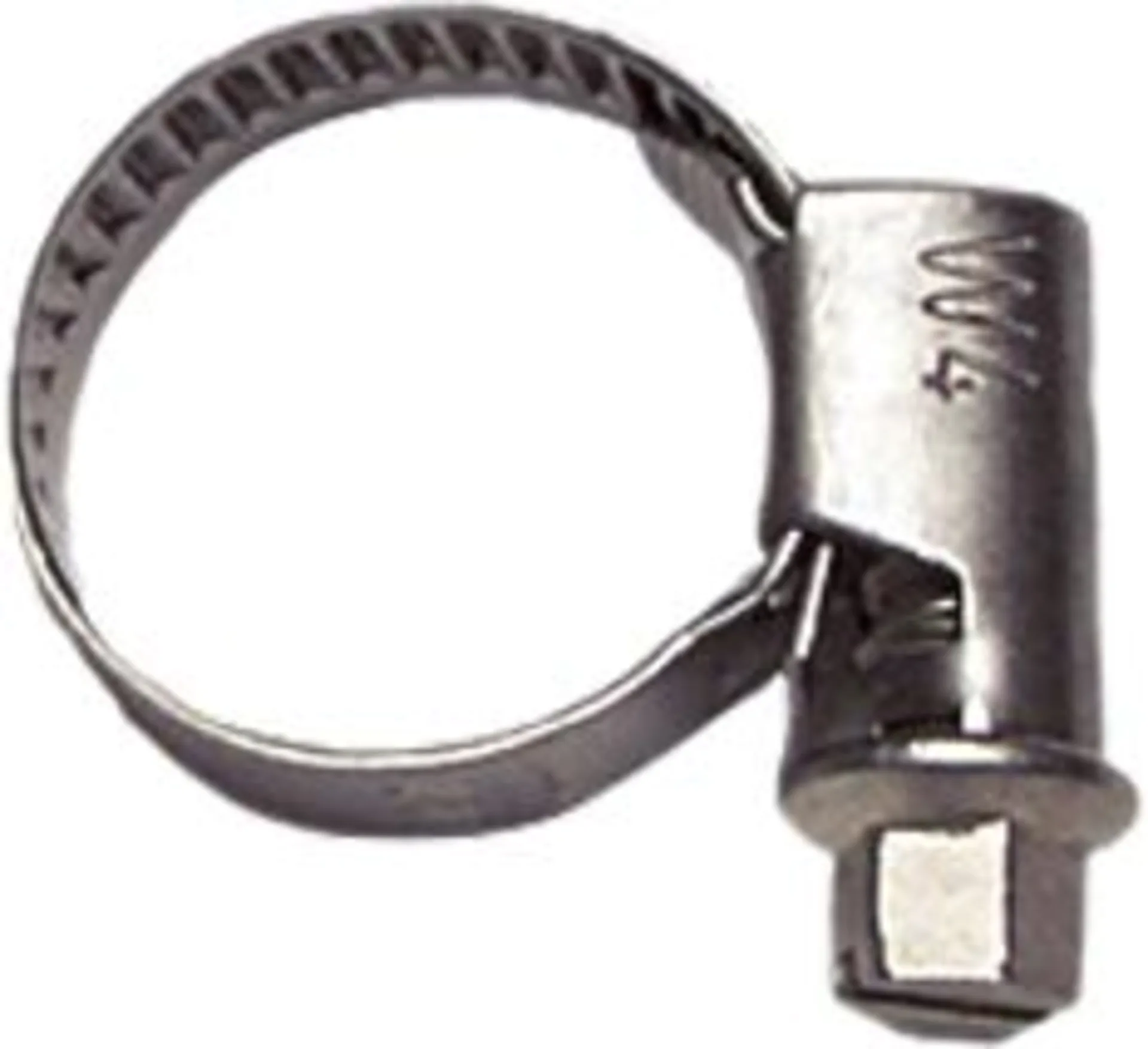 Lilie Schlauchschelle W4 8-12 mm