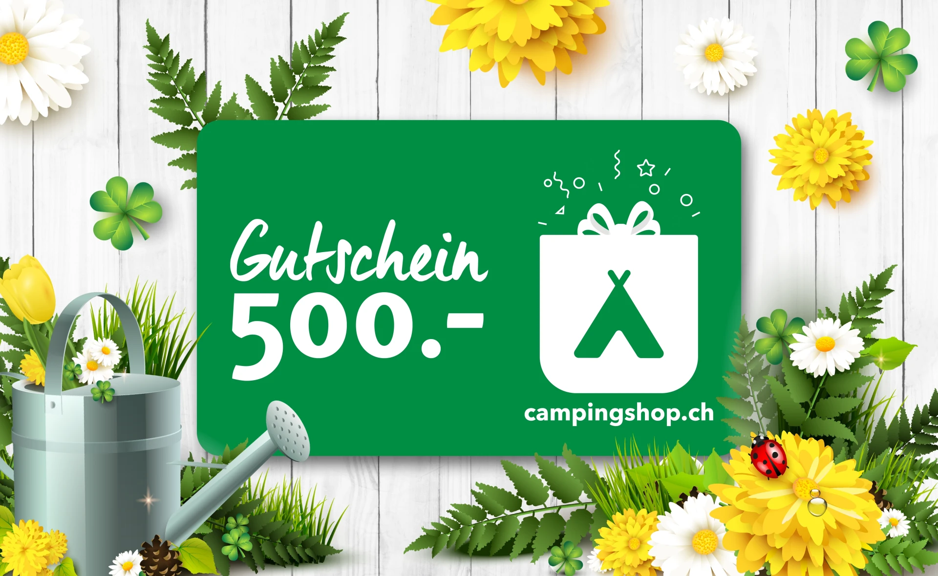 Gutschein CHF 500.-
