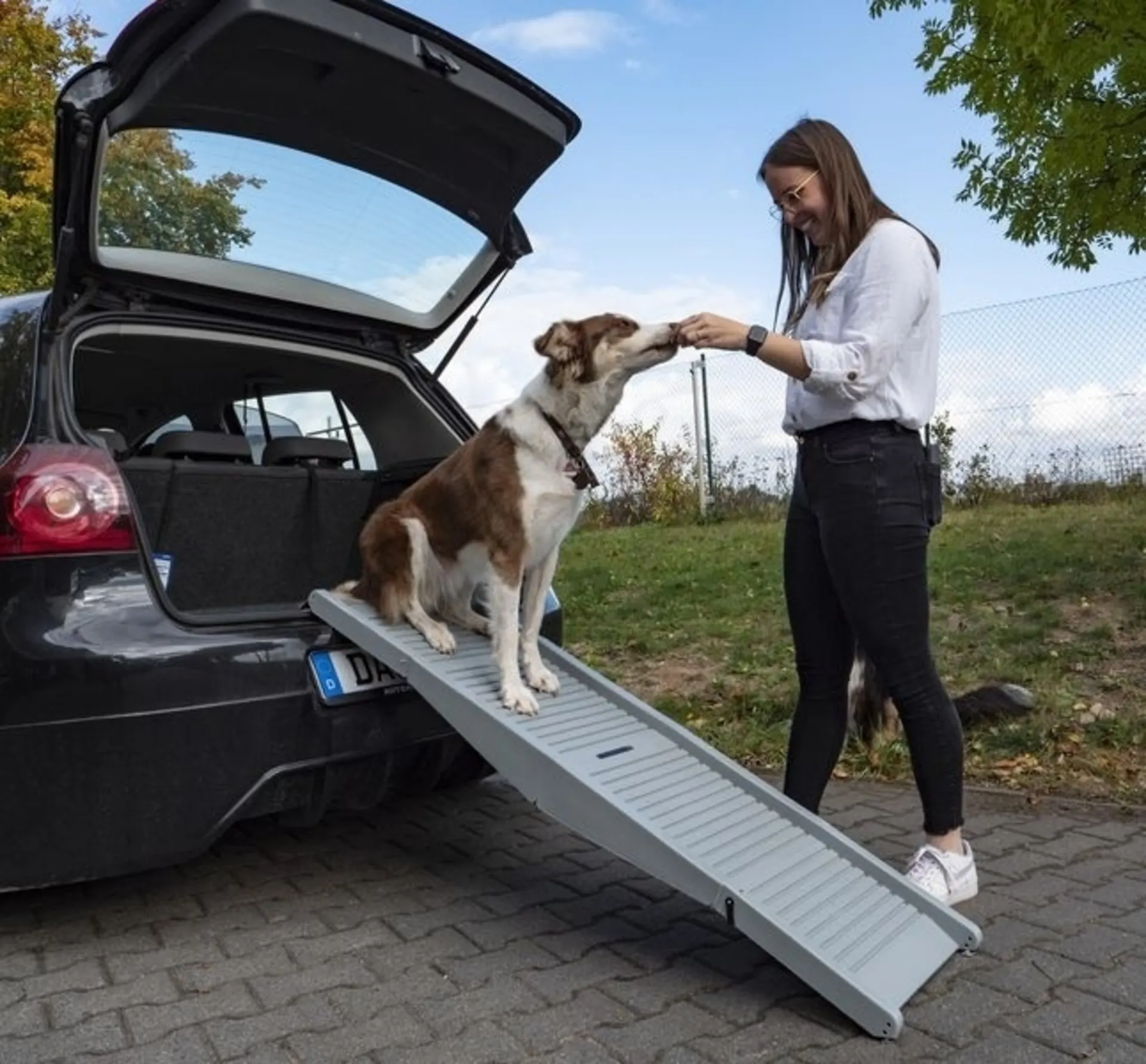 Rampe pour chien pliable en plastique Emma - aide à l'entrée pour les chiens