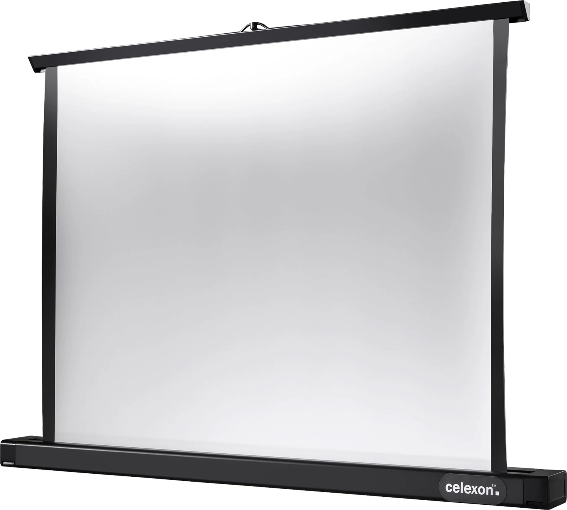 Celexon Professional Mini Screen mobile Tischleinwand 61 x 46 cm
