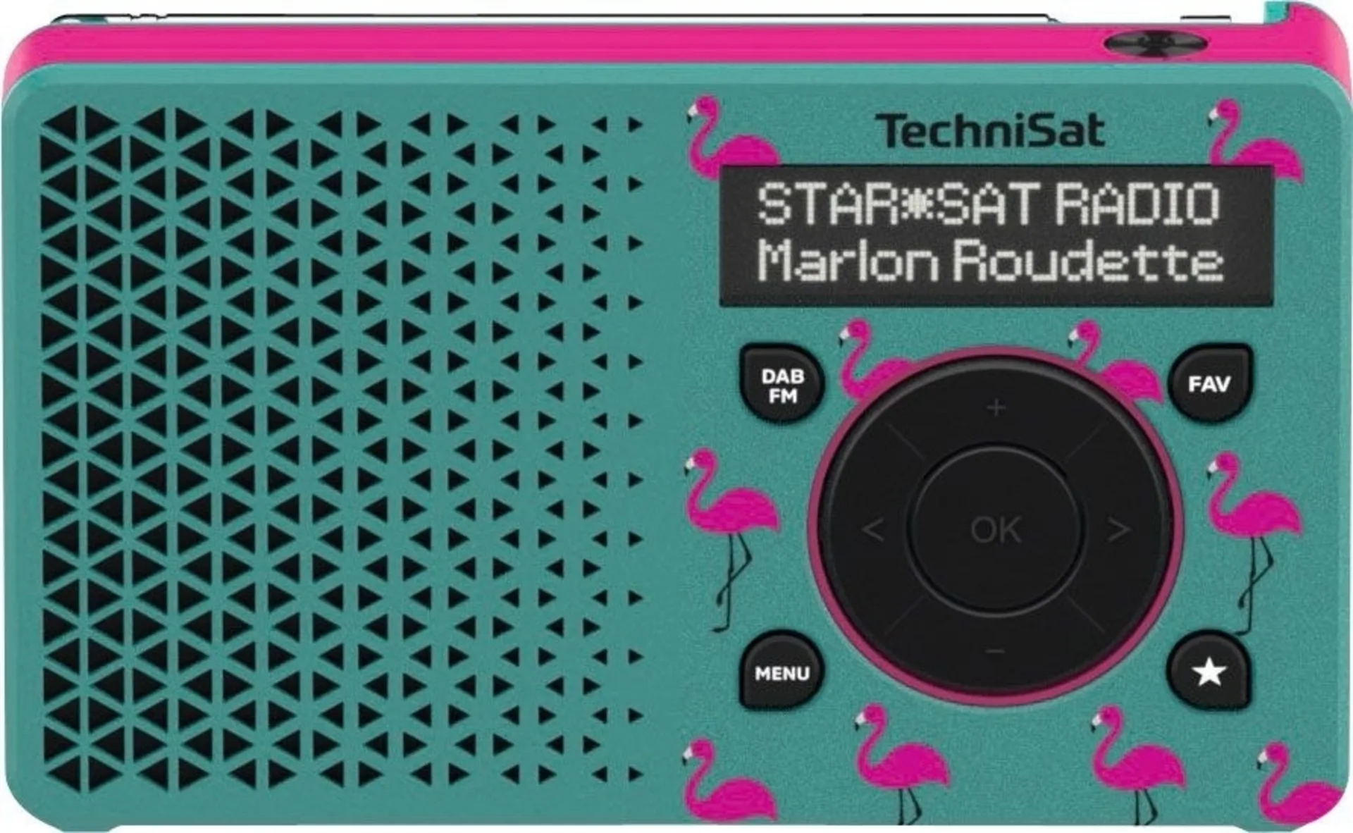 TechniSat DAB+ Digitradio 1 Tragbares Digitalradio mit integriertem Akku