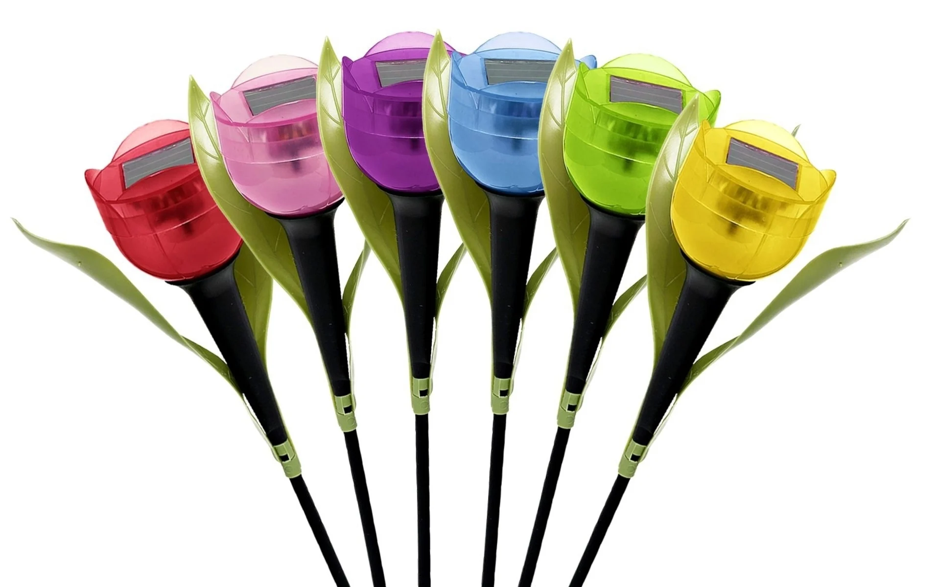 Solar LED Tulpe