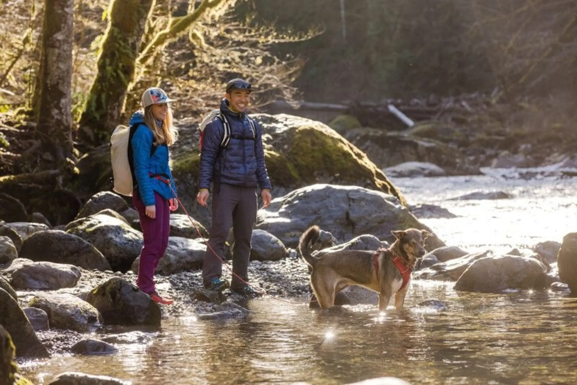 Ruffwear Front Range harnais rembourré pour chien Red Sumac M