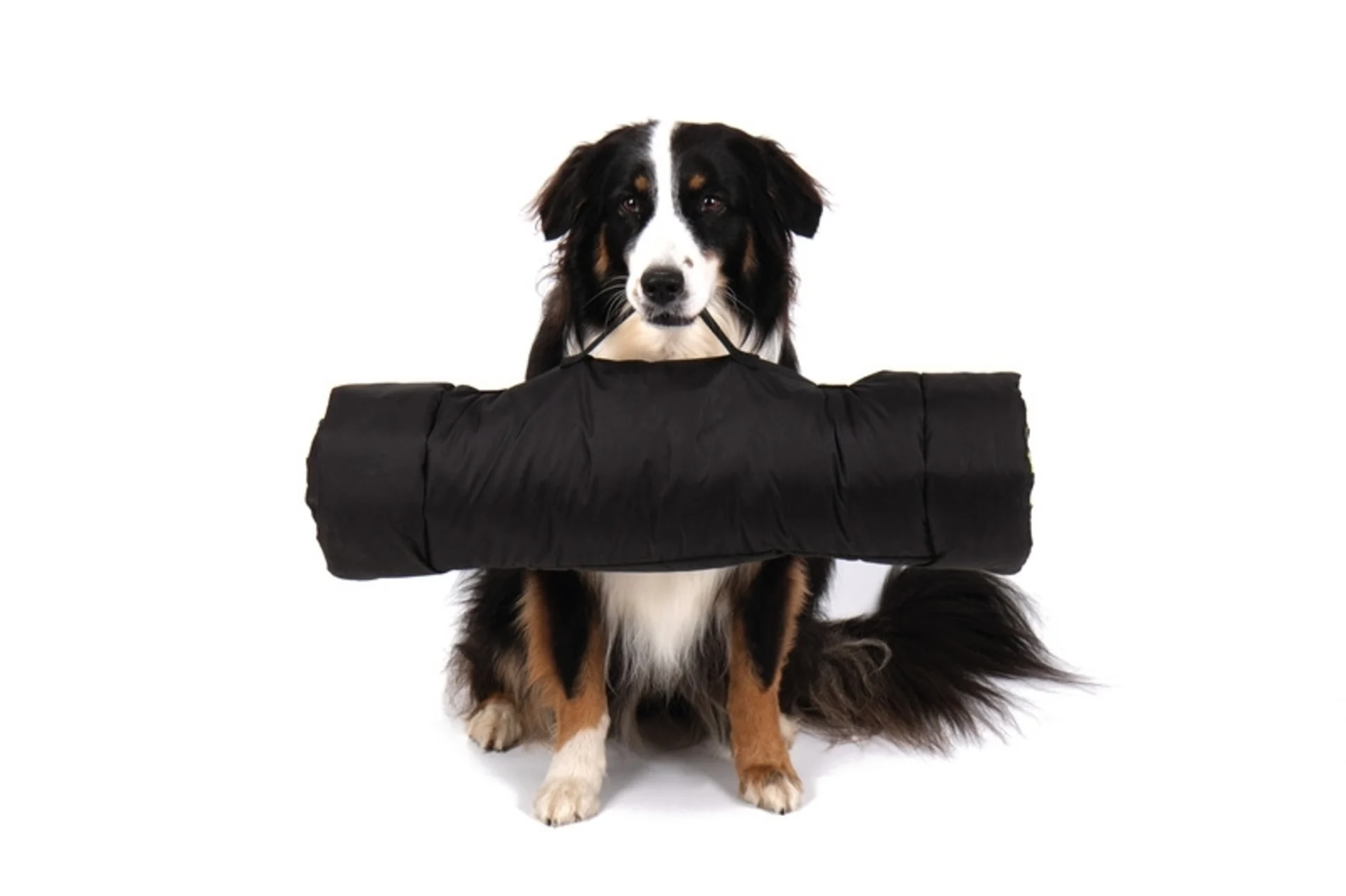 Couverture d'extérieur pour chiens ABBY, 100x65 cm