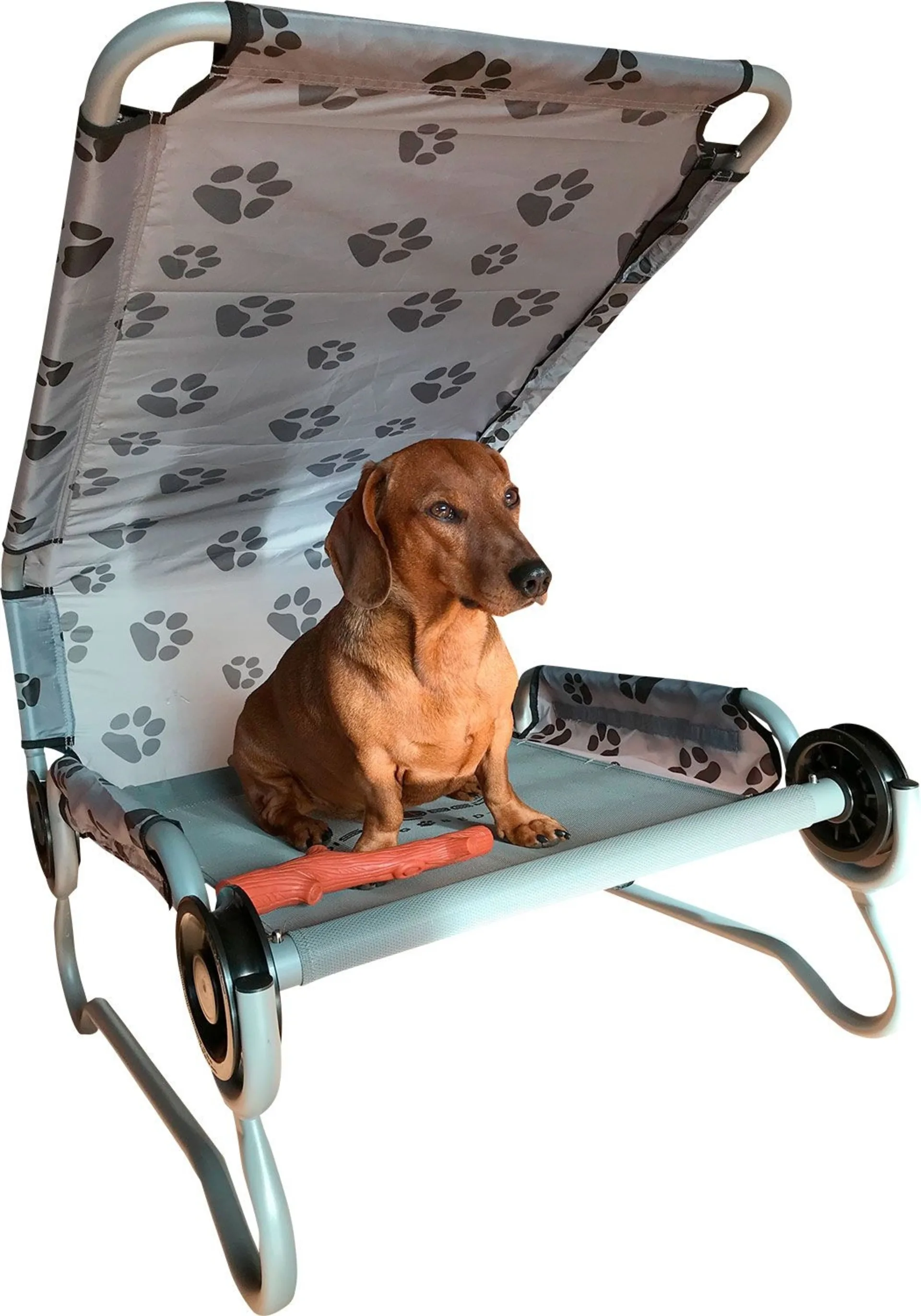 DiscOBed Dog-Bed S lit pliant pour chien