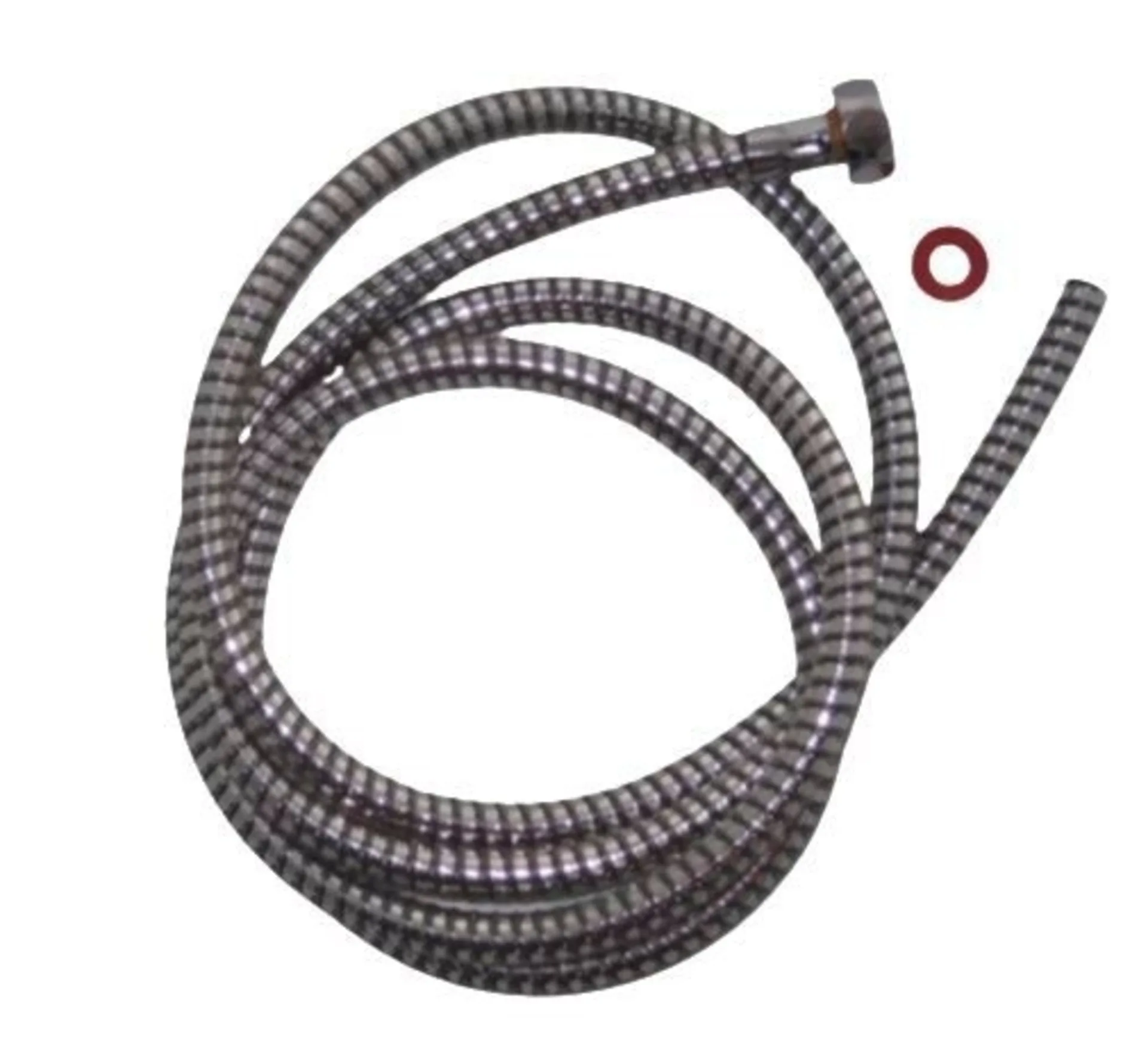 Reich Carletta Flexible de douche