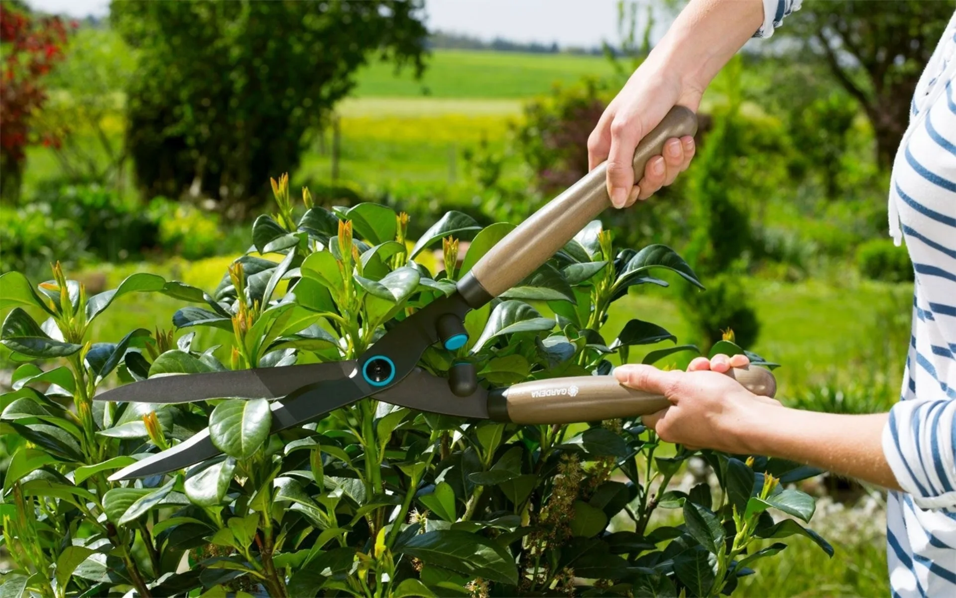 Gardena NatureCut Heckenschere
