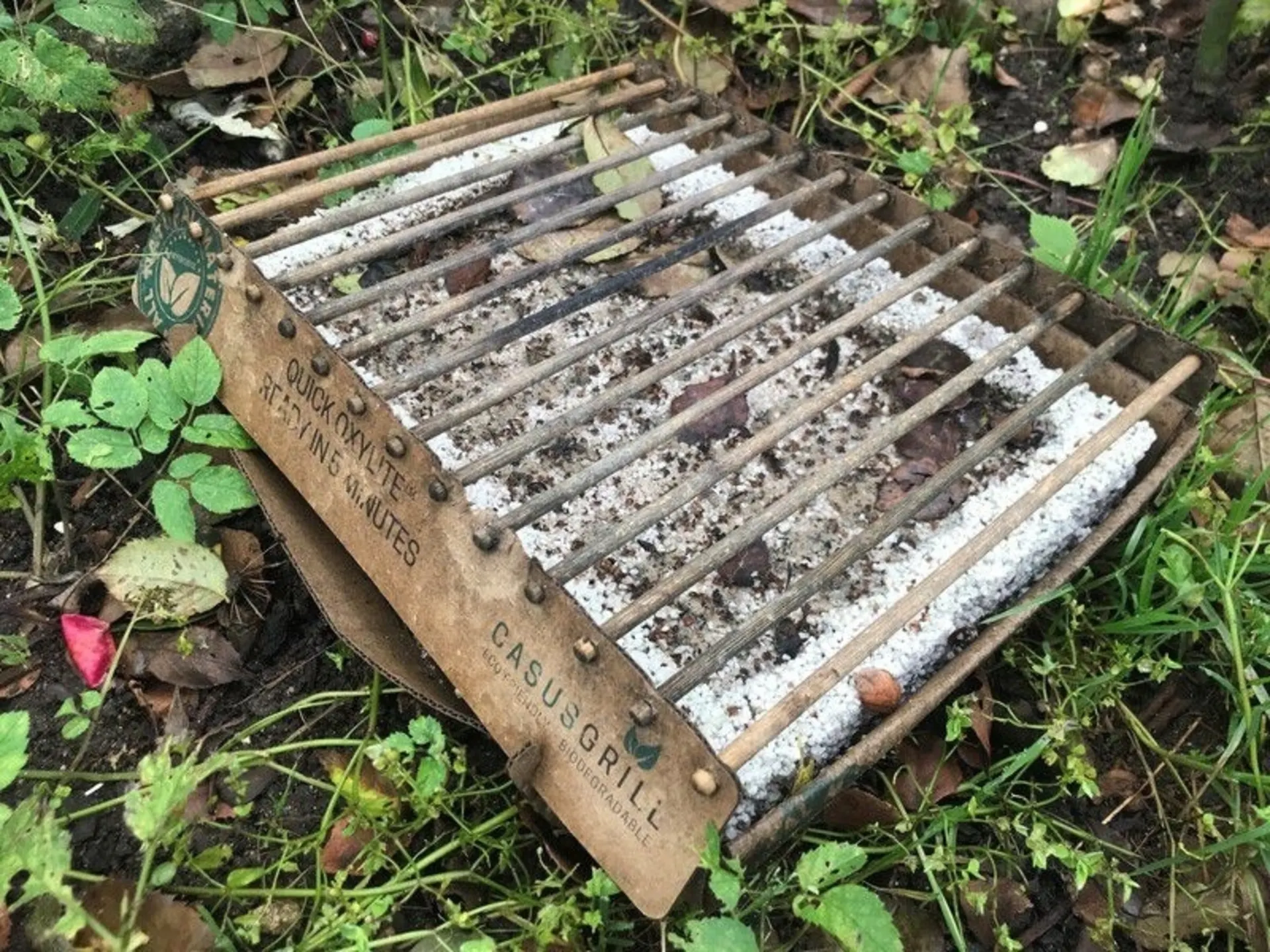 Umweltfreundlicher Einweggrill - Die nachhaltige Alternative zum Aluminium-Einweggrill