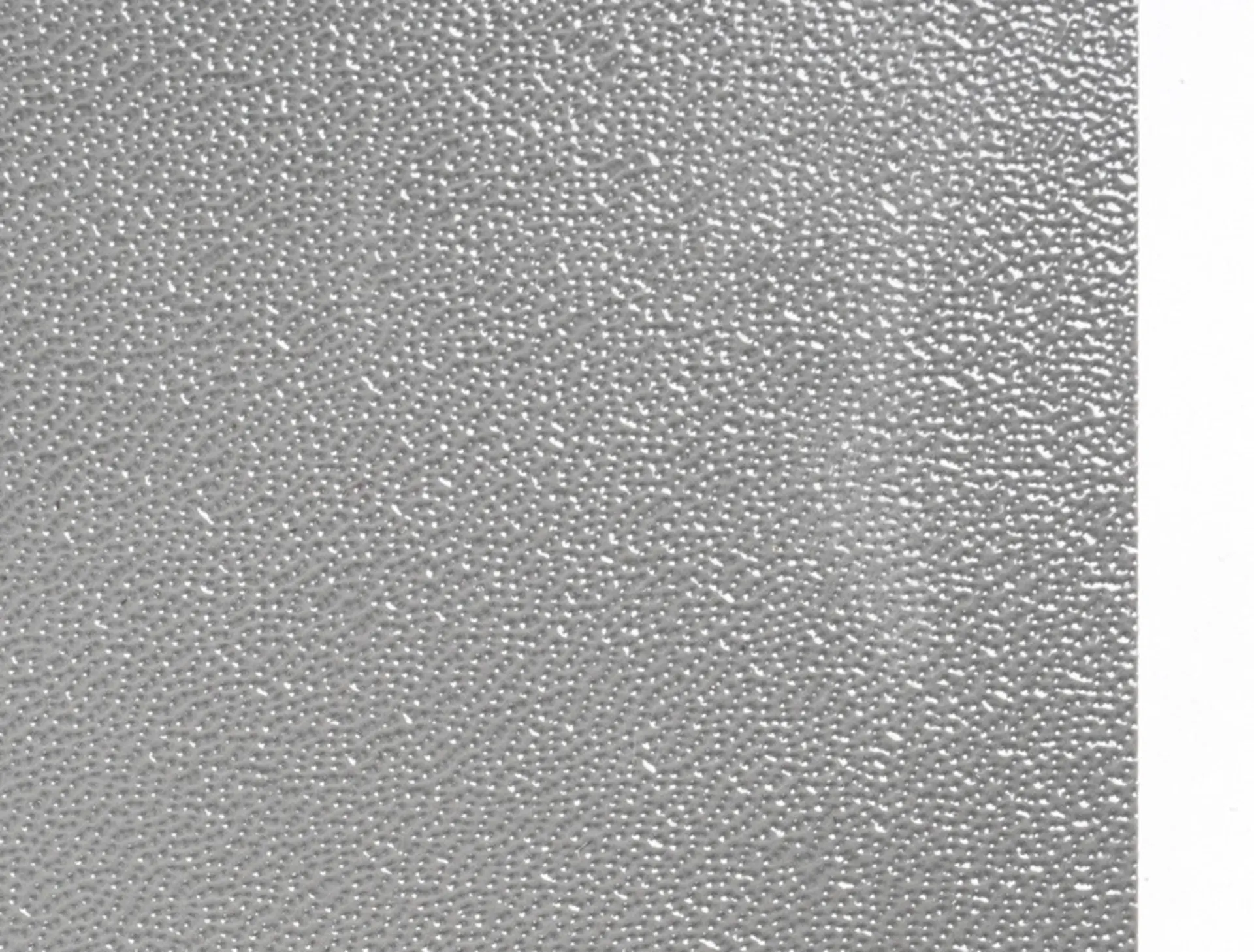 Ducato Schiebetür L2H2