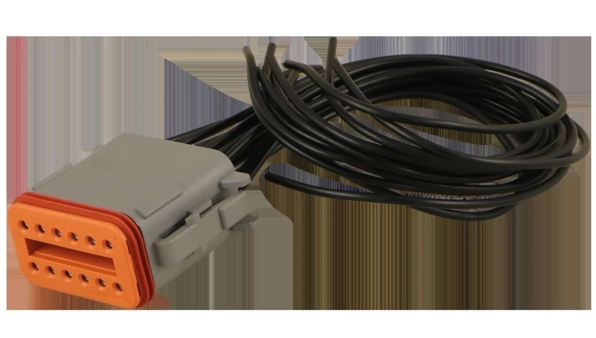 Stecker Typ "Deutsch" 12-pol., mit Kabel konfektioniert mit 200mm Kabel