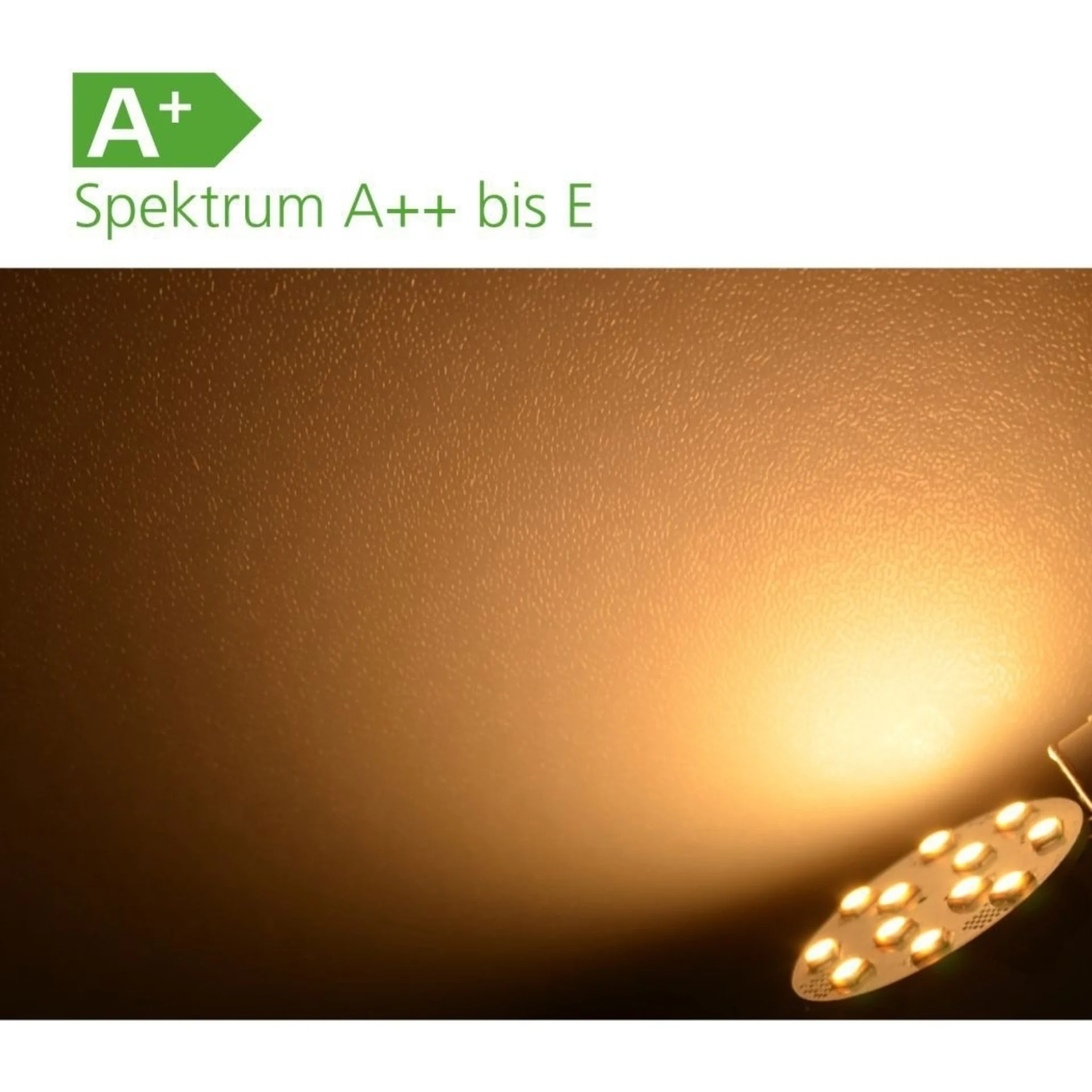 Ampoule CRI 90+ module de 12 LEDs
