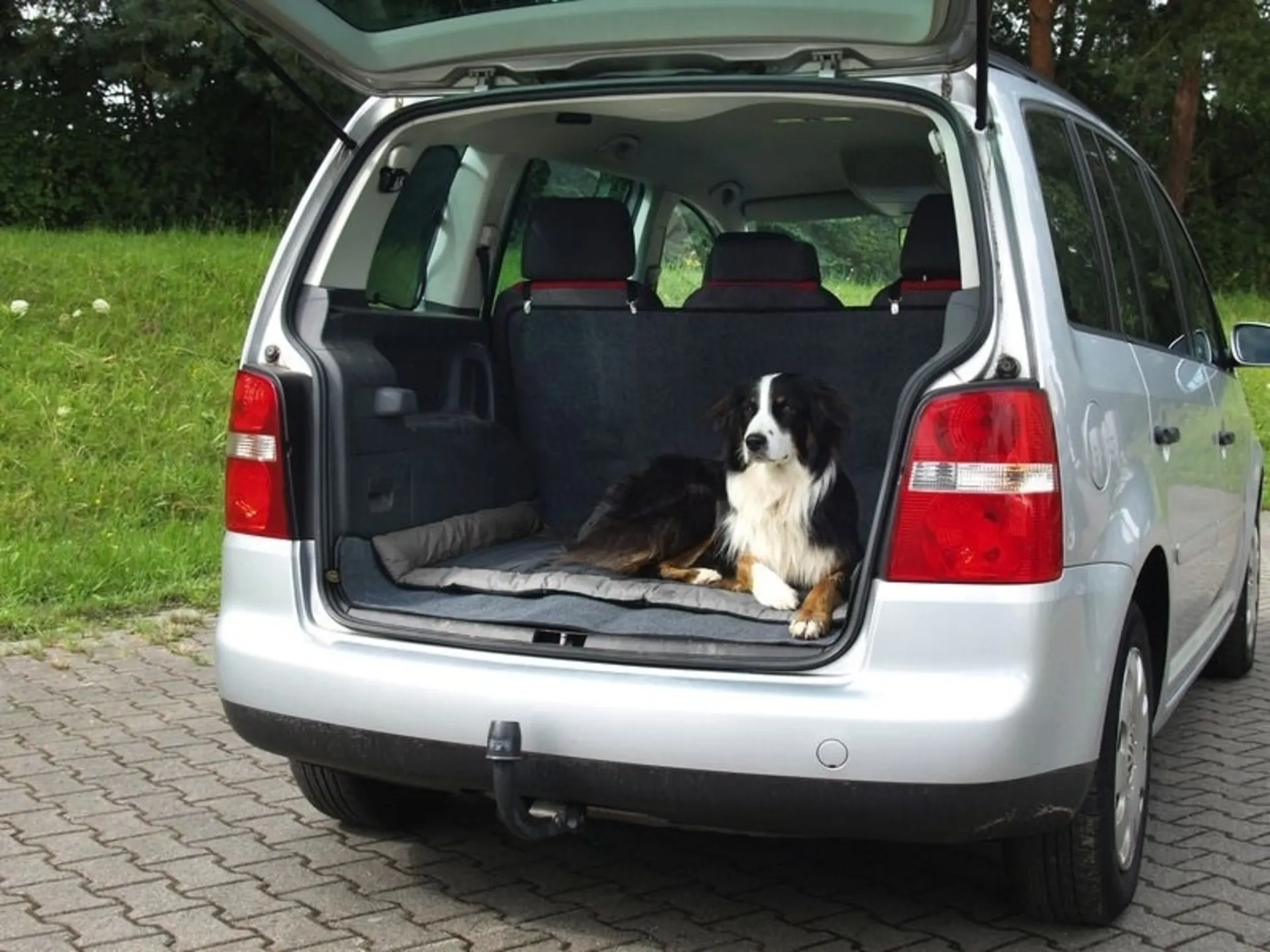 Hunde-Outdoor-Decke ABBY, 100x65 cm