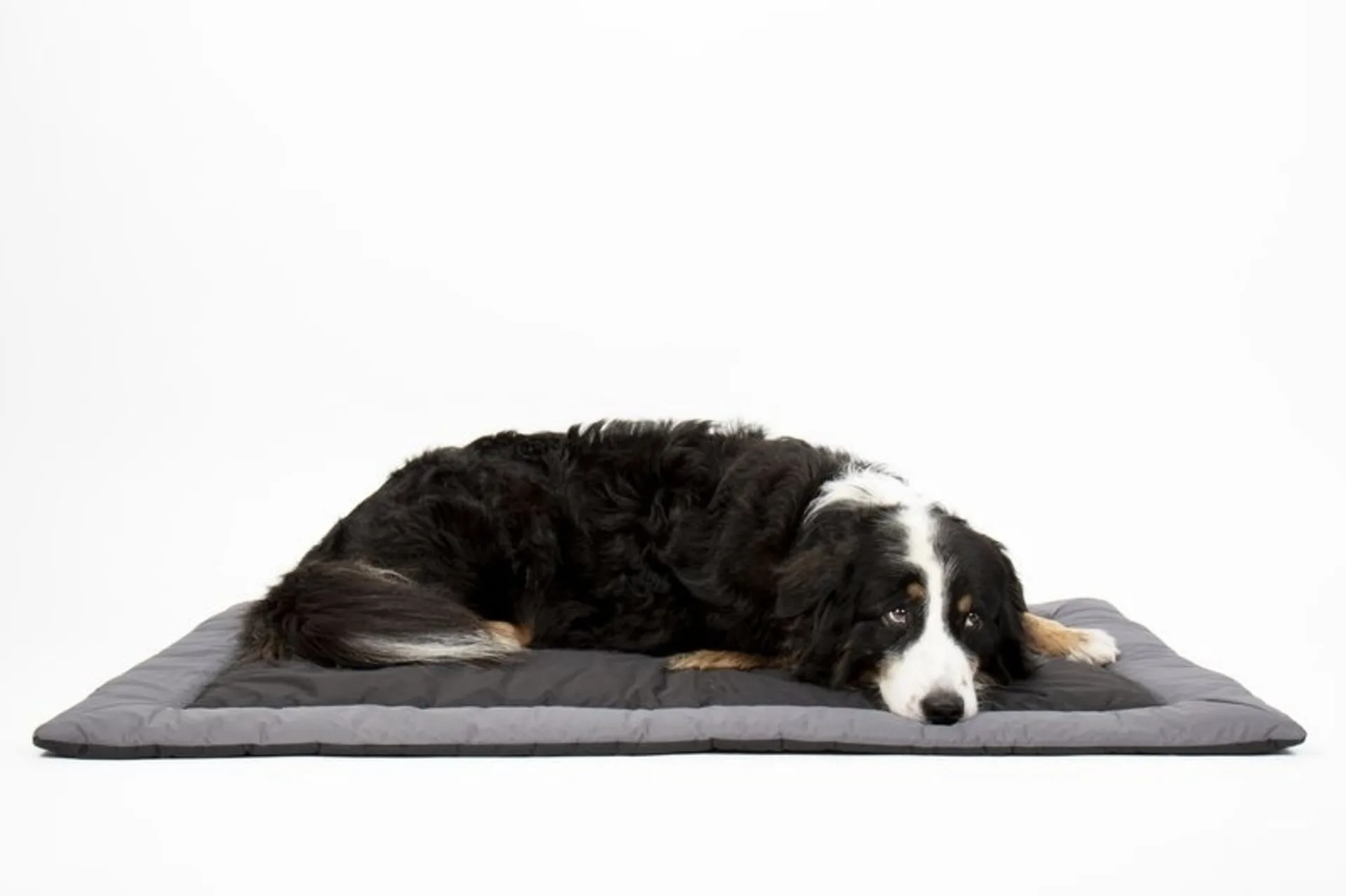 Hunde-Outdoor-Decke ABBY, 100x65 cm