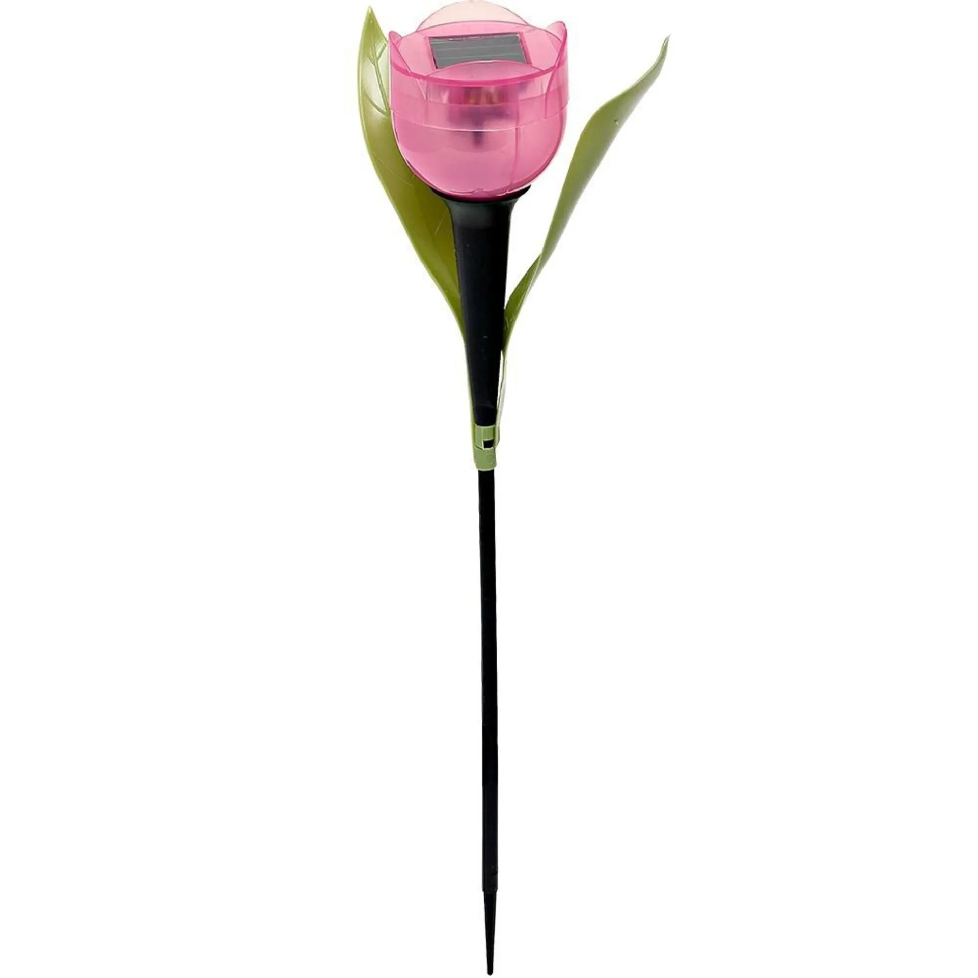 Solar LED Tulpe