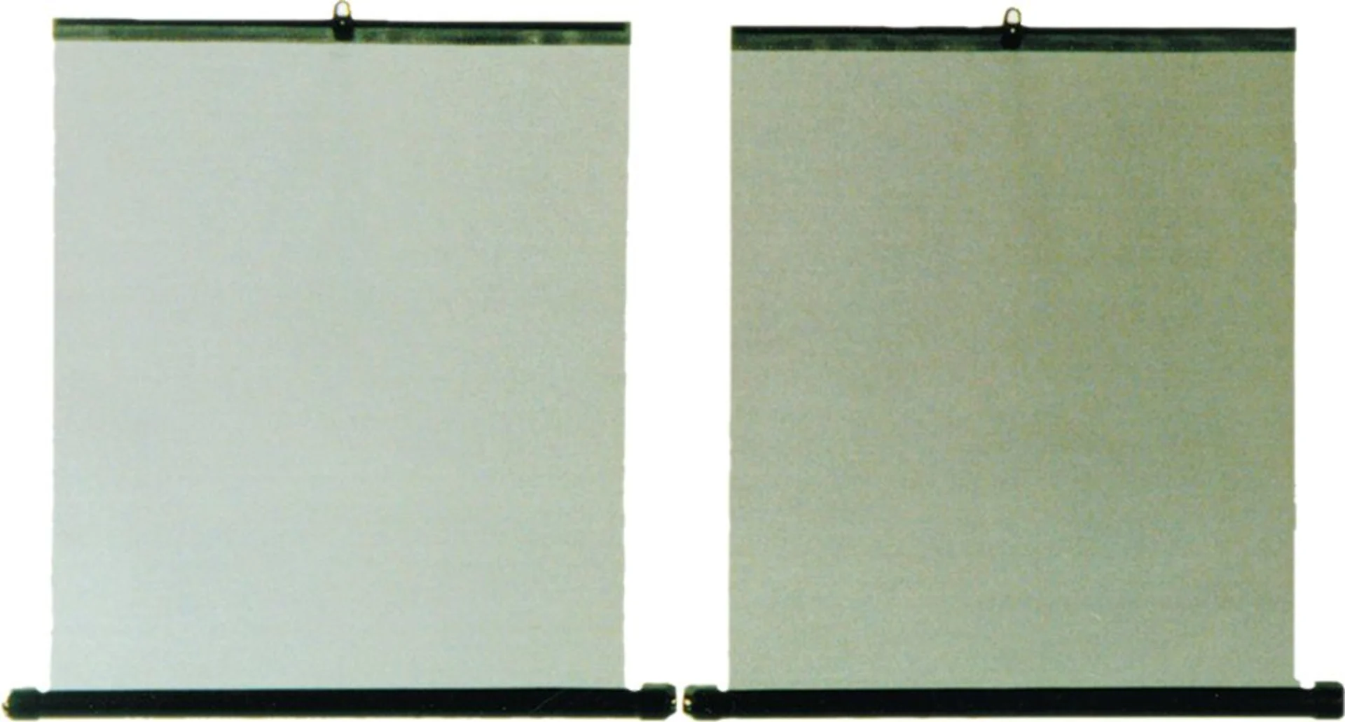 HP Autozubehör Seitenfenster Rollo universell 2 Stück 45 x 55 cm