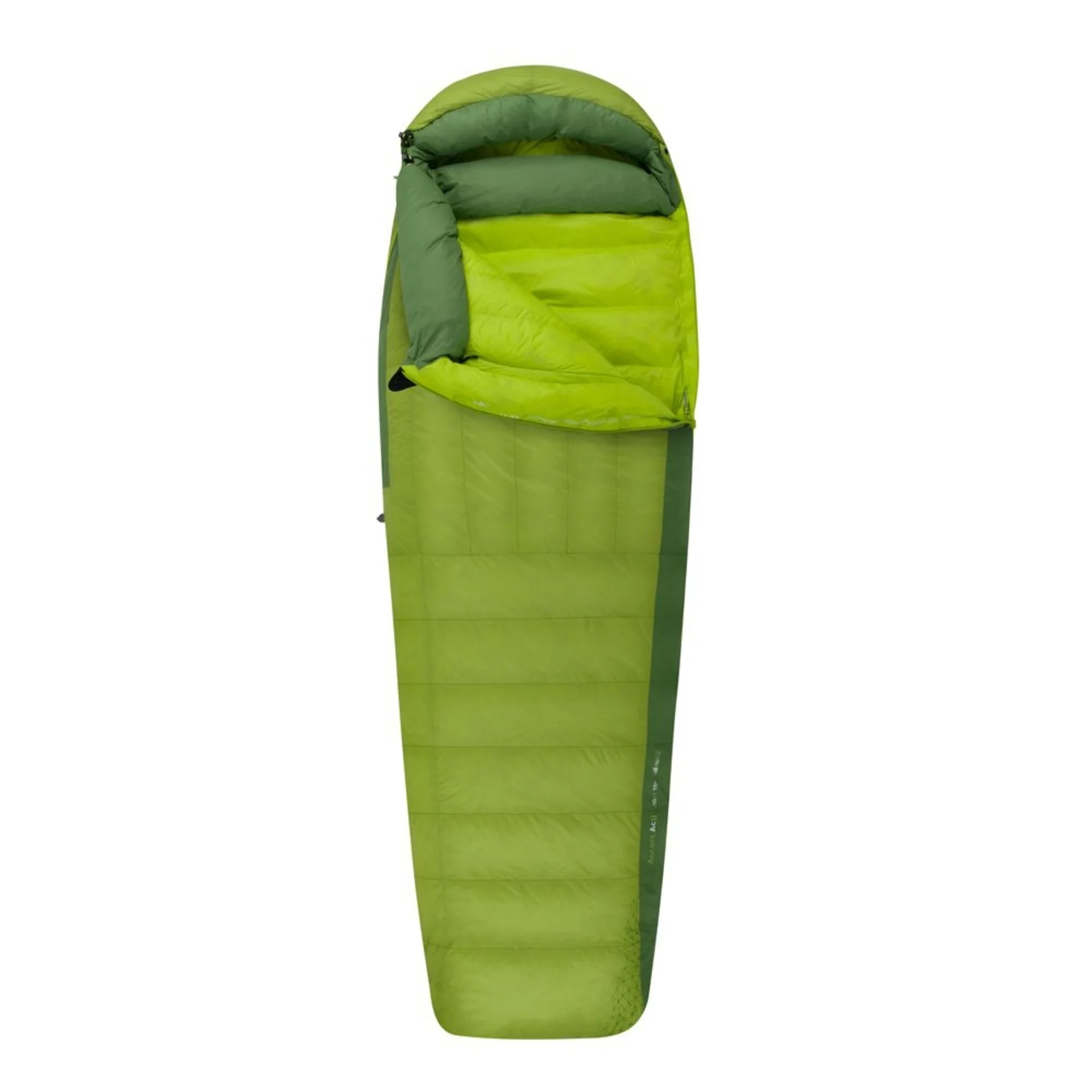 Sea to Summit Ascent AcII Daunenschlafsack bis -10 Grad, Regular