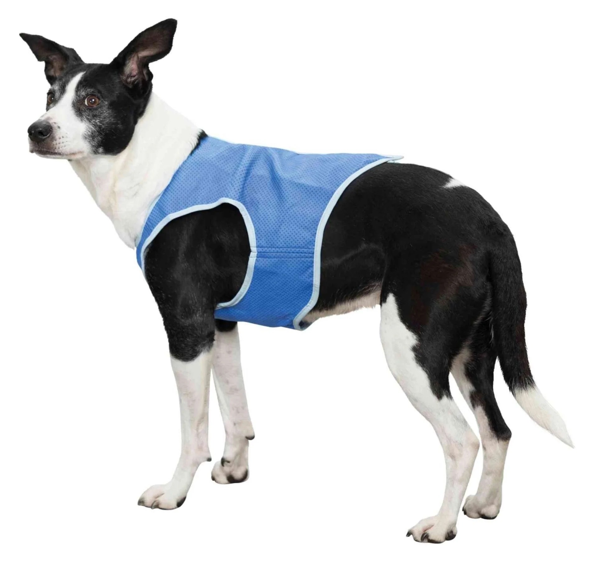 Gilet rafraîchissant TRIXIE XL 40 cm bleu Gilet rafraîchissant TRIXIE XL 40 cm bleu