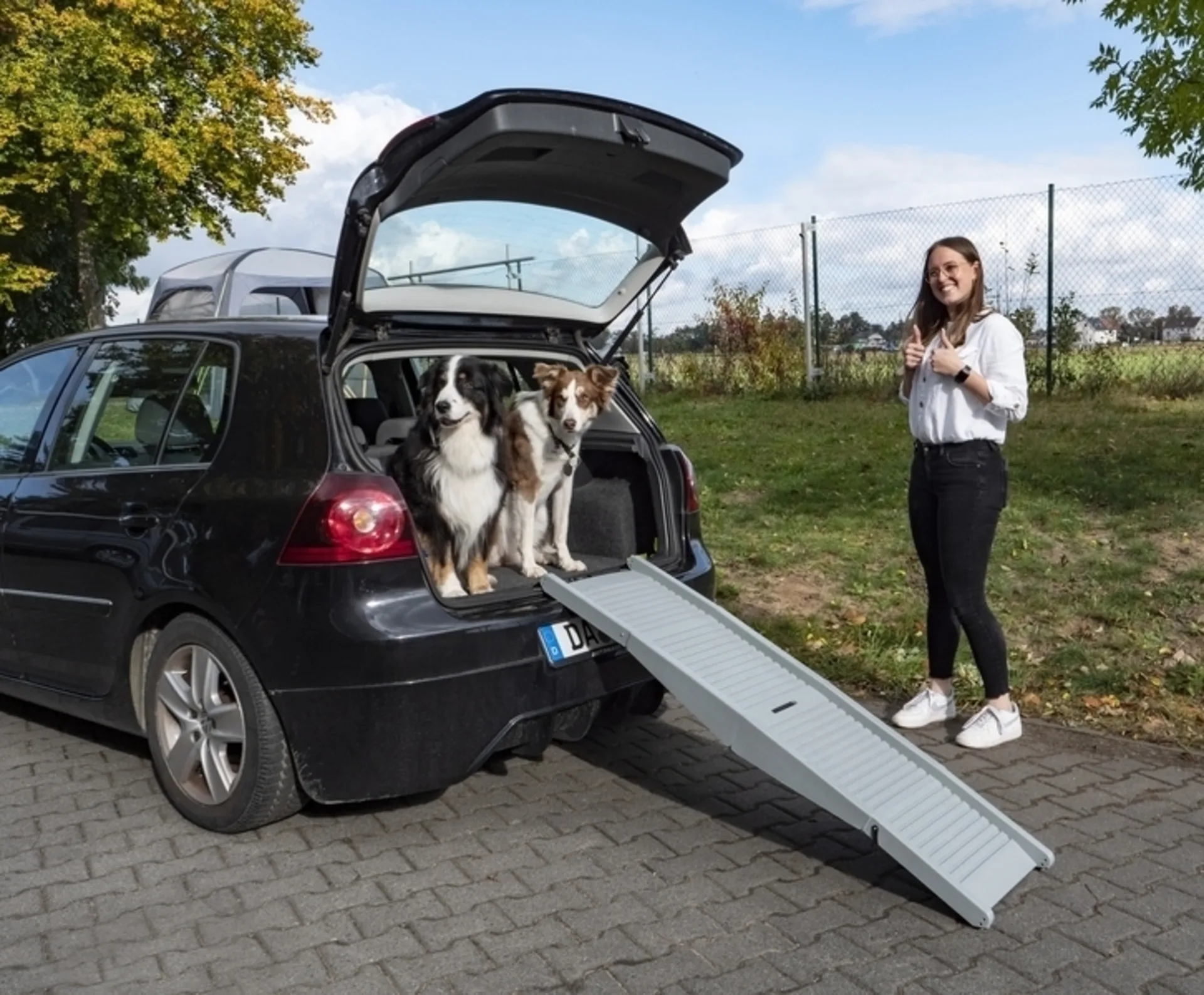 Rampe pour chien pliable en plastique Emma - aide à l'entrée pour les chiens