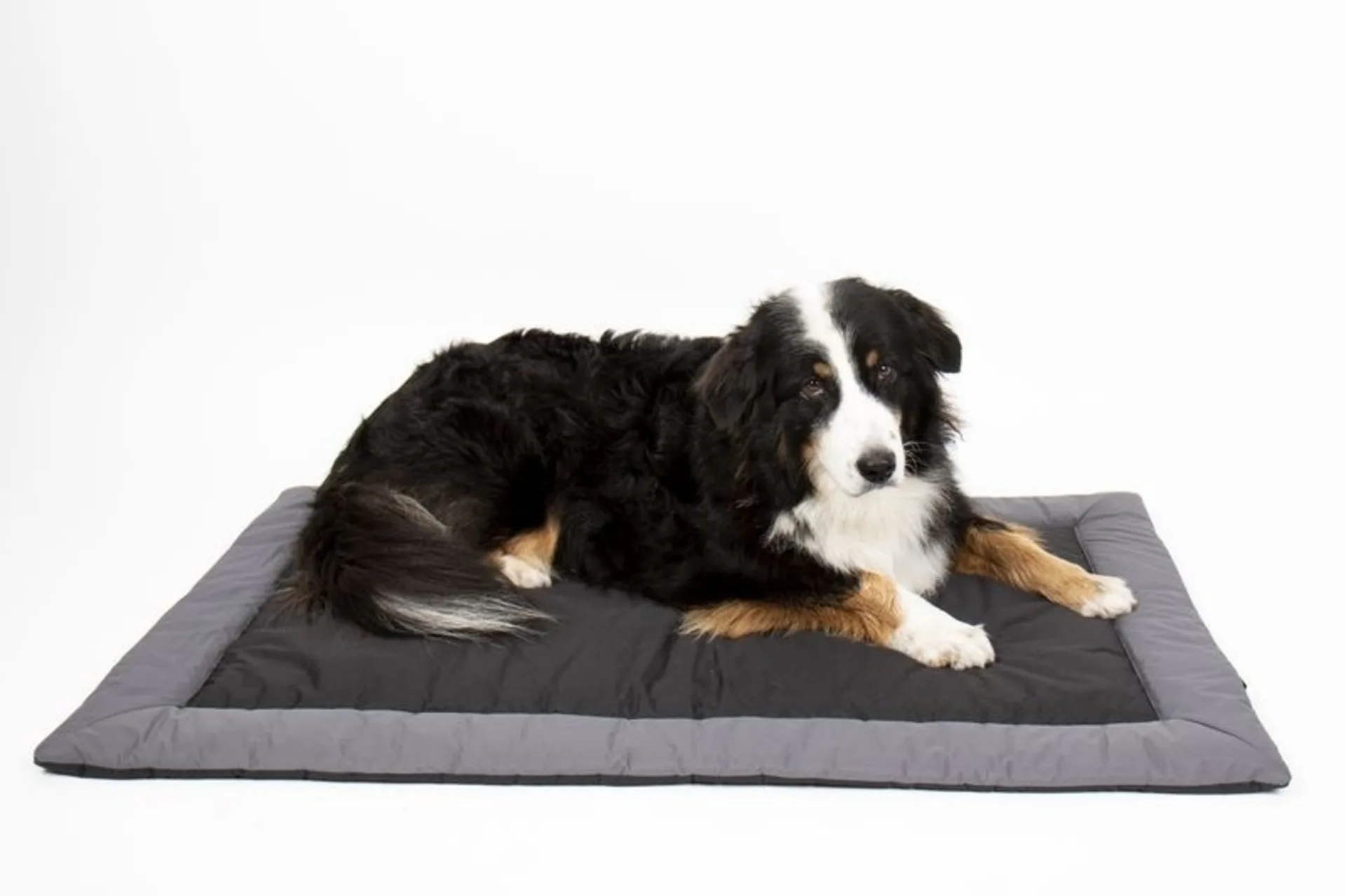 Hunde-Outdoor-Decke ABBY, 100x65 cm