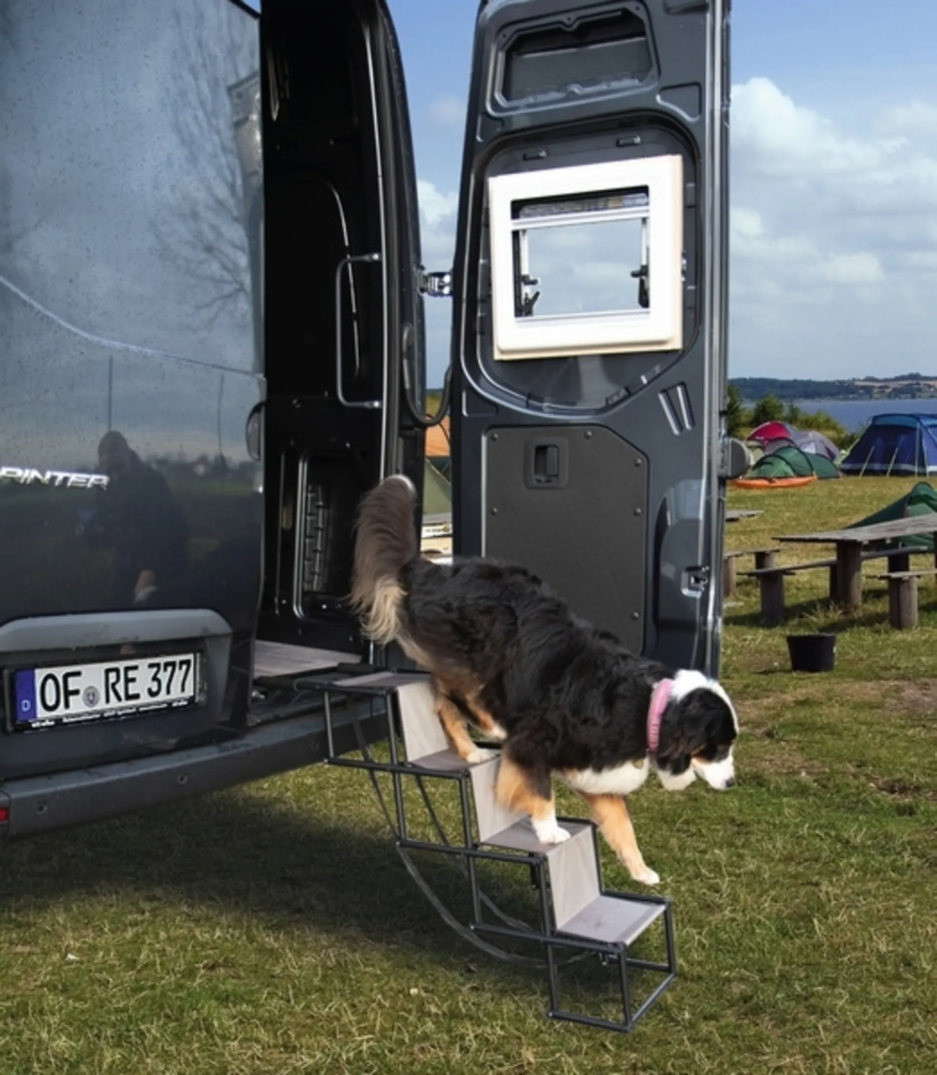 Rampe pour chiens pliable pour chiens jusqu'à 30 kg