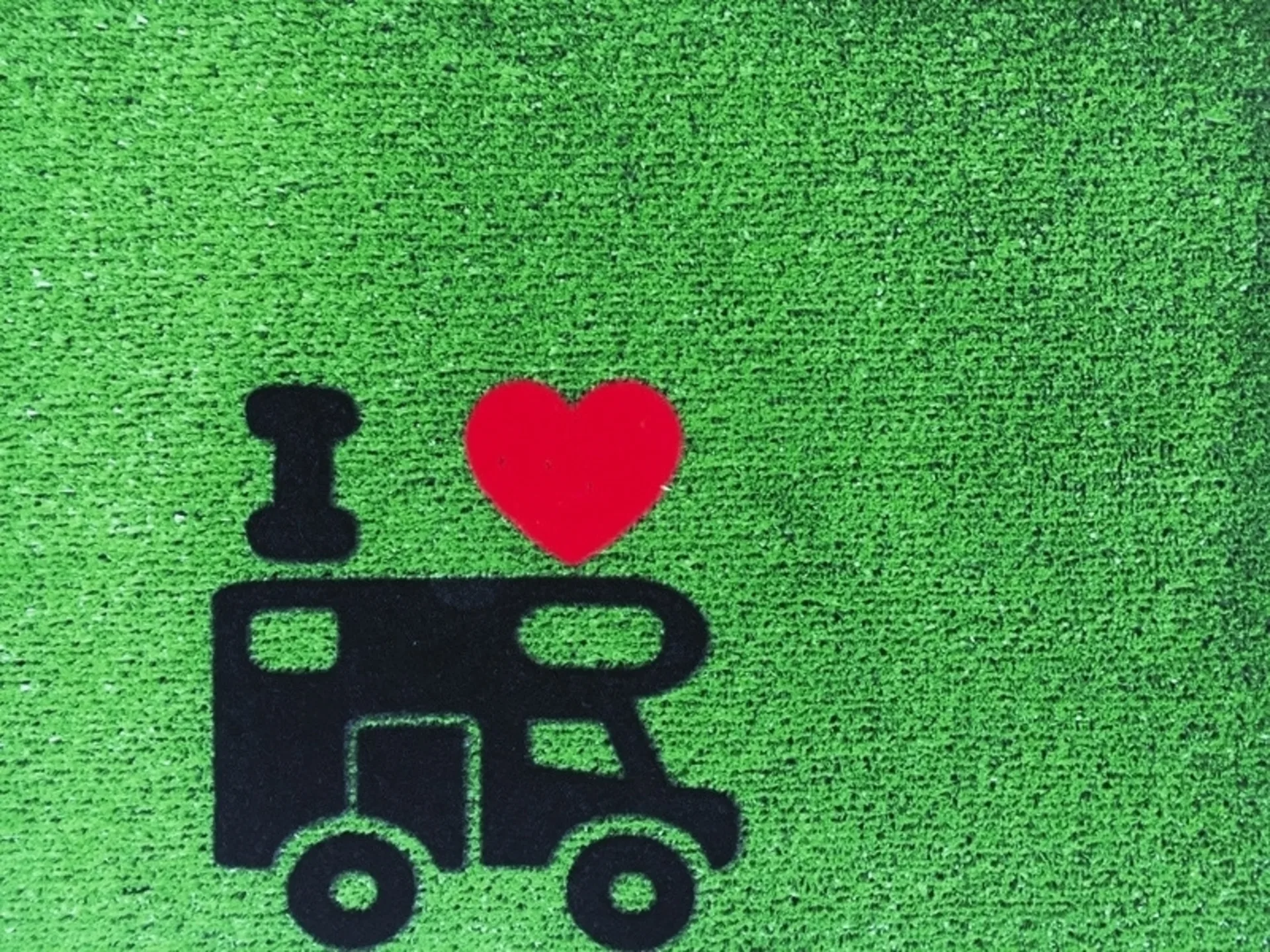 Tapis d'herbe Berger Camper