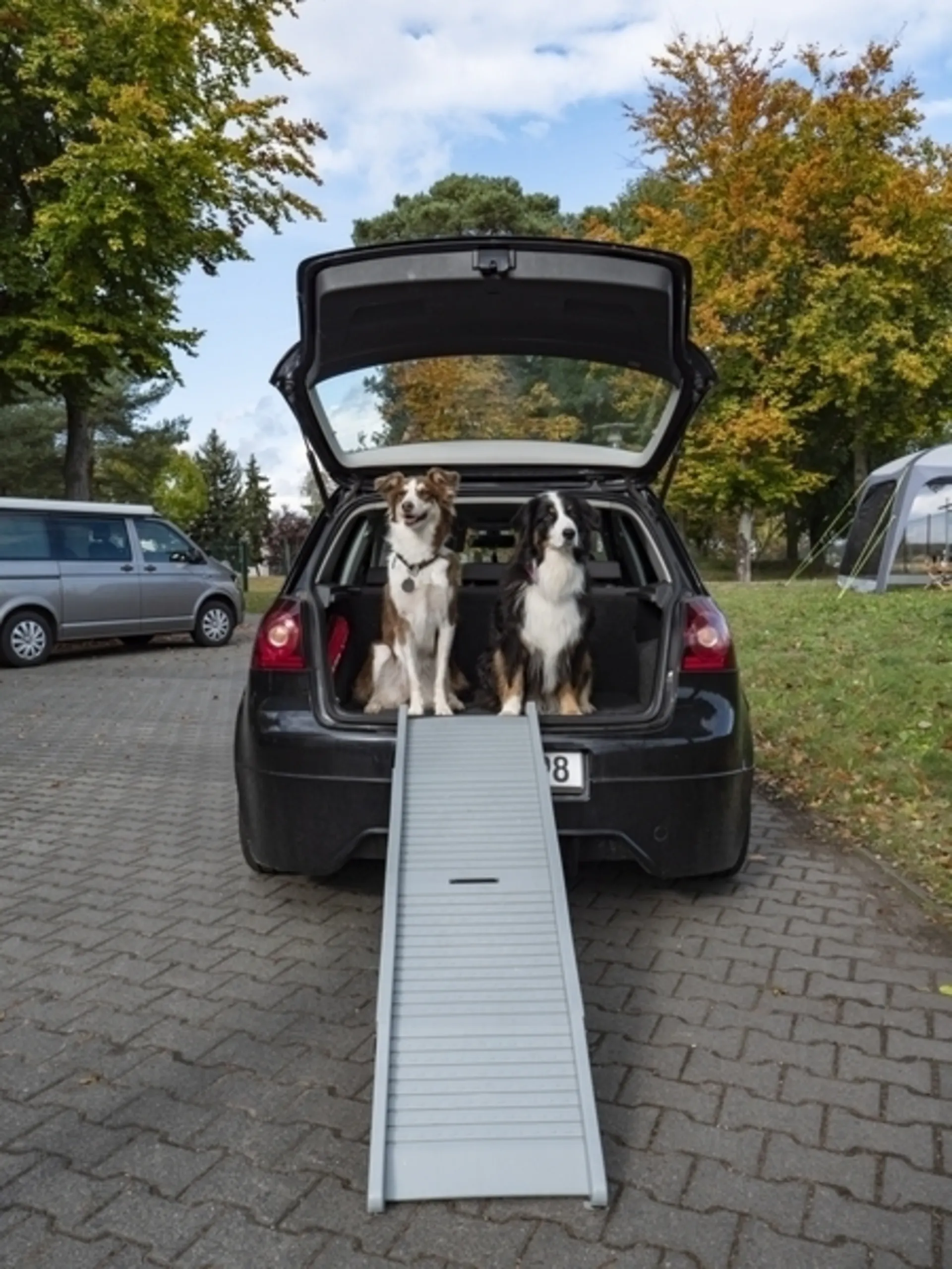 Rampe pour chien pliable en plastique Emma - aide à l'entrée pour les chiens