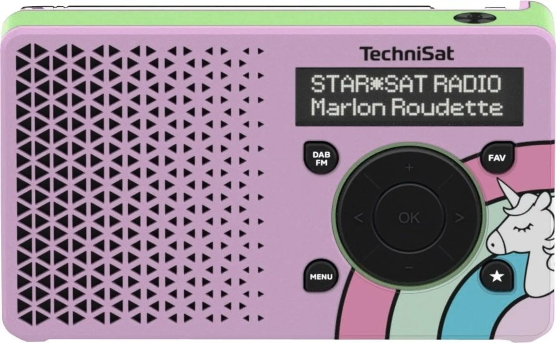 TechniSat DAB+ Digitradio 1 Tragbares Digitalradio mit integriertem Akku