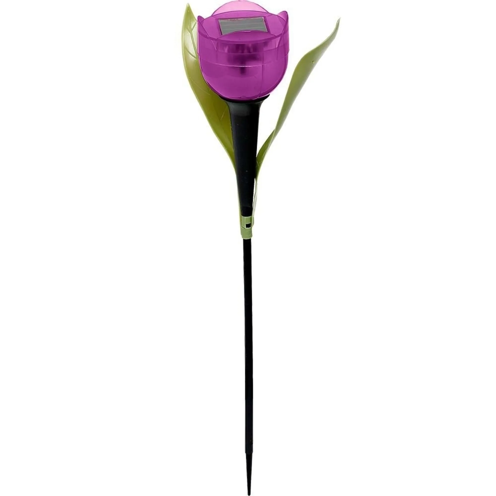 Solar LED Tulpe