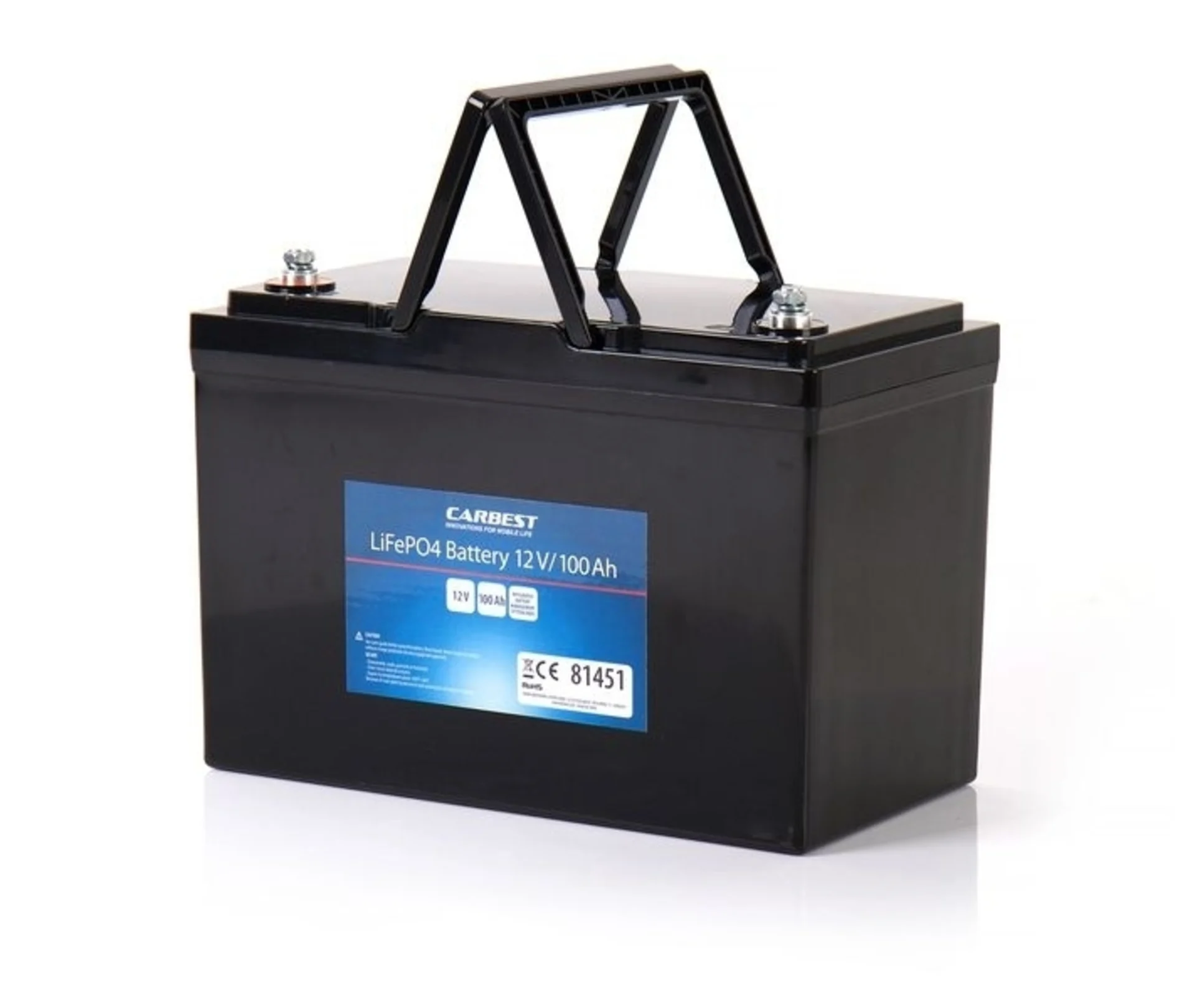 12V 100Ah Lithium-Eisenphosphat Batterie