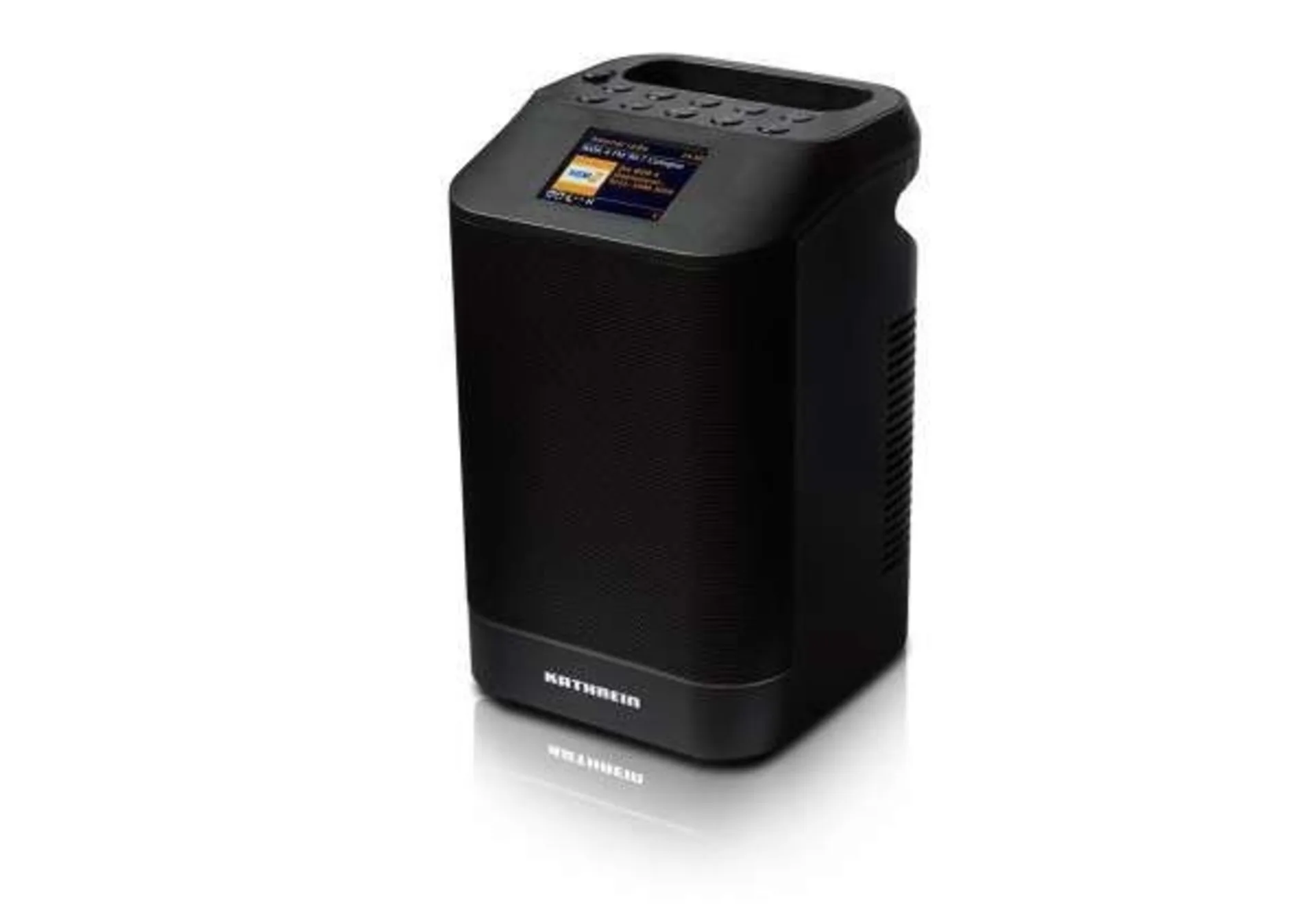 Kathrein DAB+ 10 Tower Digitalradio mit Bluetooth 10 W