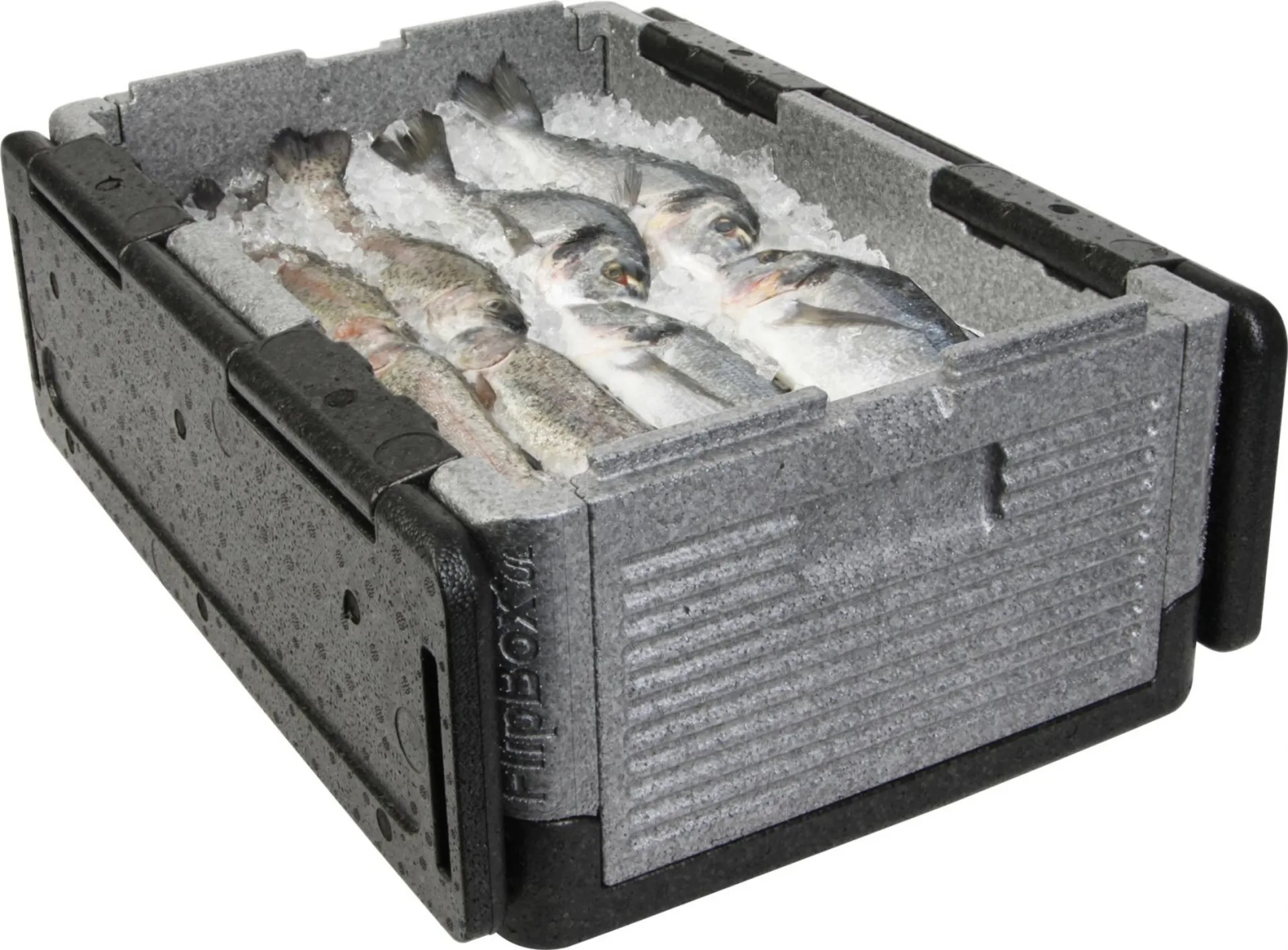 Overath Flip Box BIG faltbare Isolierbox 39 Liter