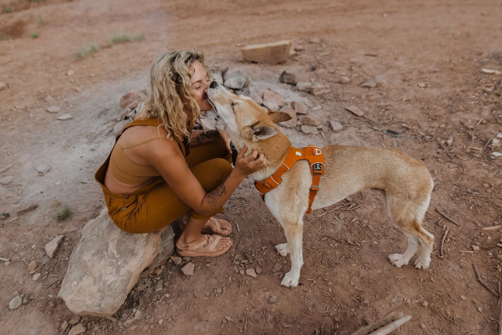 Ruffwear Front Range gepolstertes Hundegeschirr Campfire Orange S