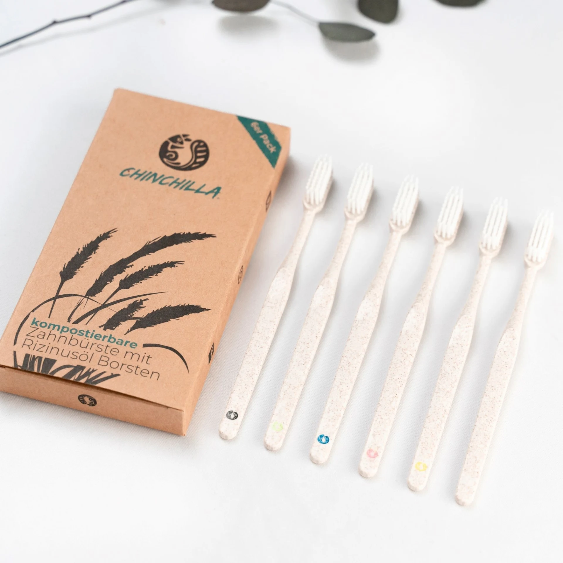 Brosses à dents Chinchilla biodégradables, lot de 6
