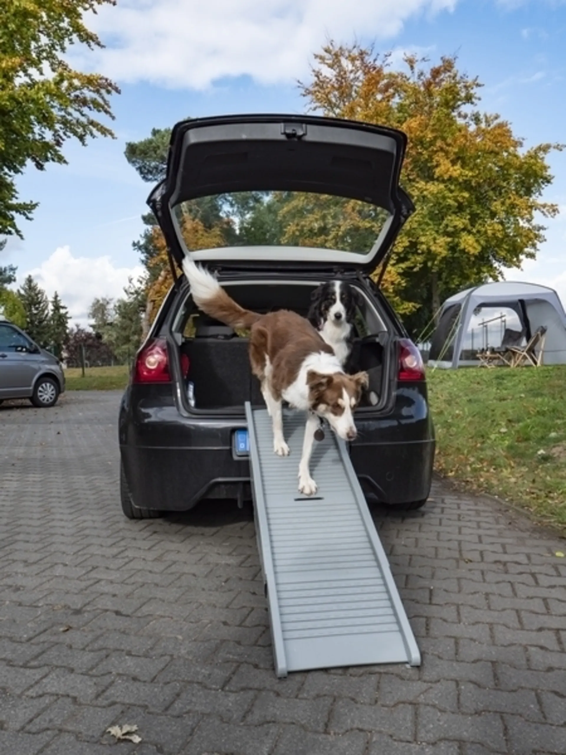 Rampe pour chien pliable en plastique Emma - aide à l'entrée pour les chiens