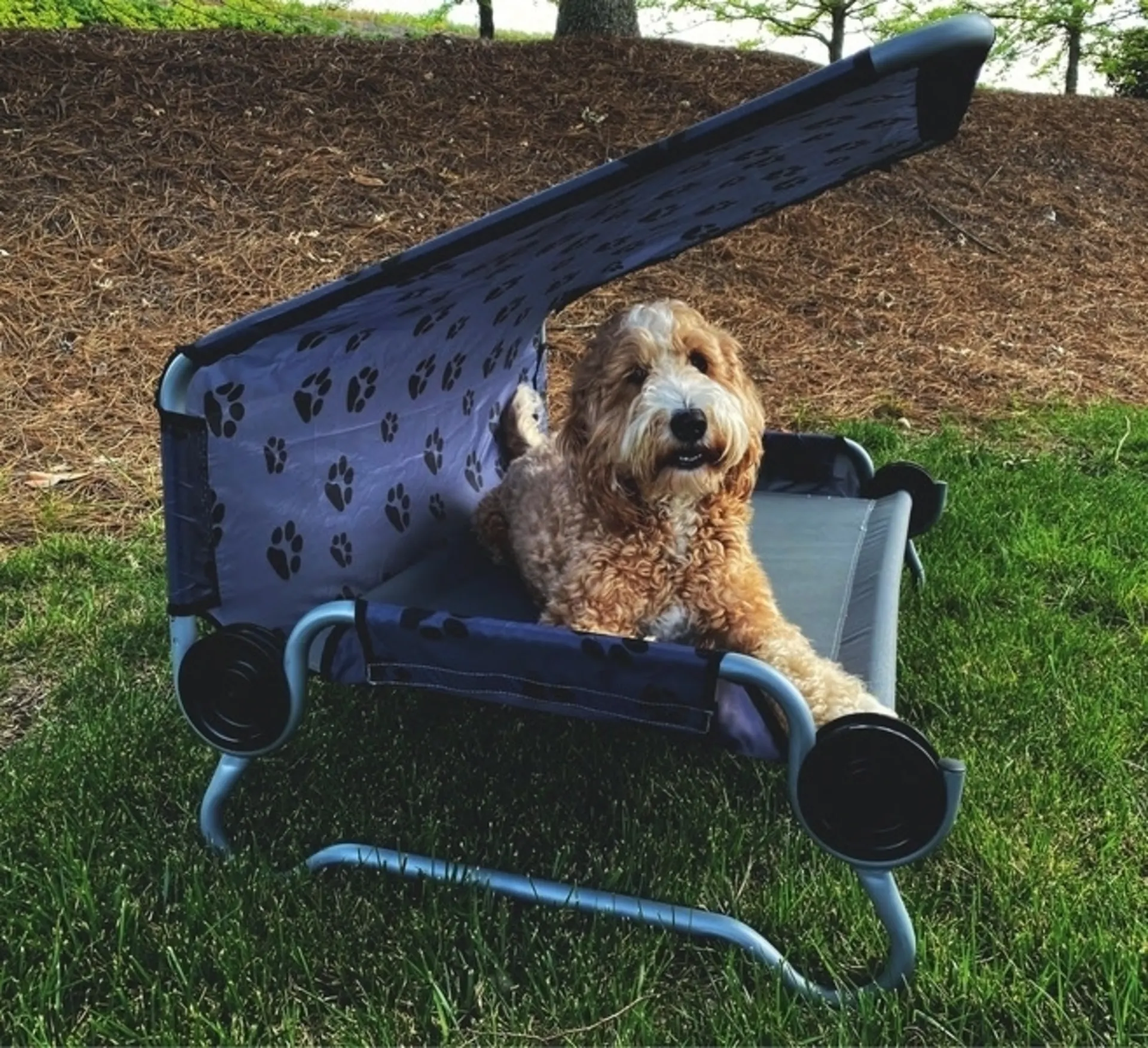 Disc-O-Bed Dog-Bed S faltbares Hundebett