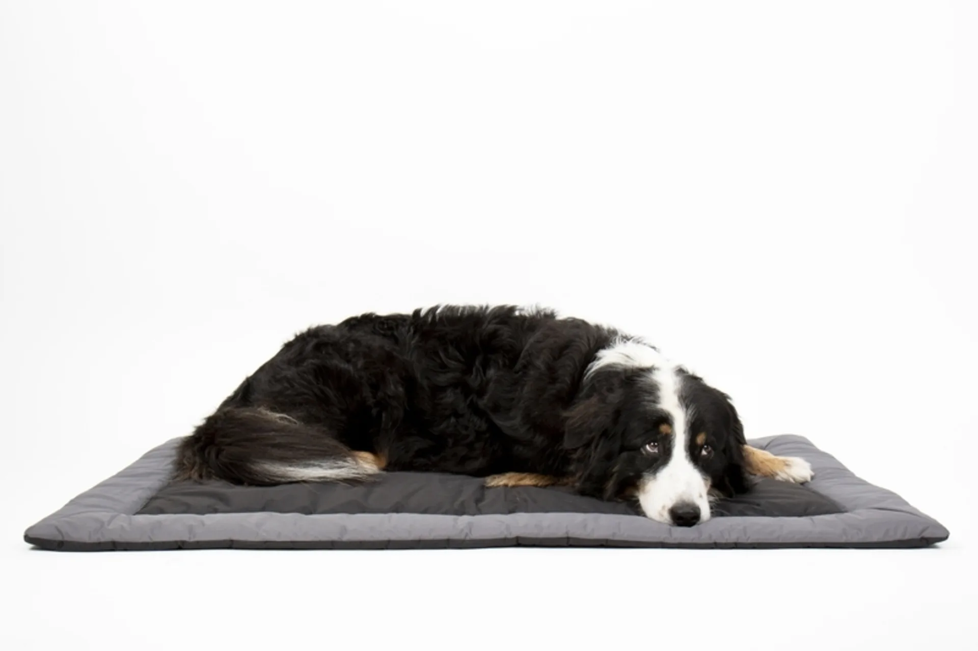 Outdoor-Decke für Hunde ABBY