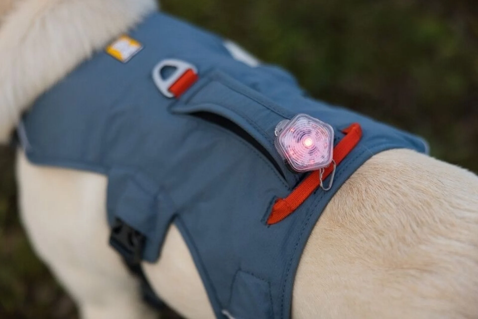 Ruffwear Web Master Hundegeschirr mit Handschlaufe Slate Blue M