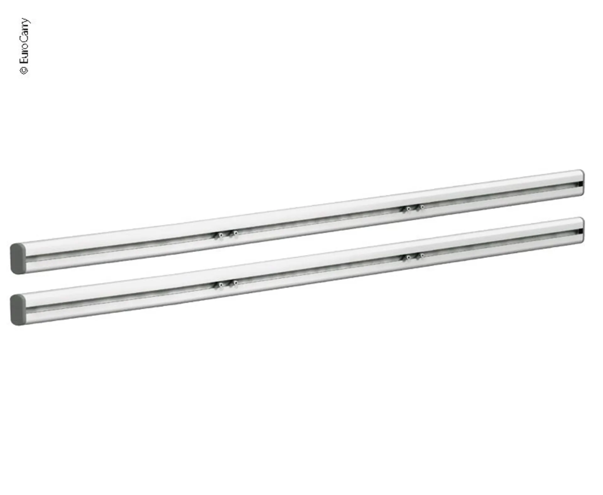Montageschienensatz für Euro Carry - 1 Meter (2 Stück)