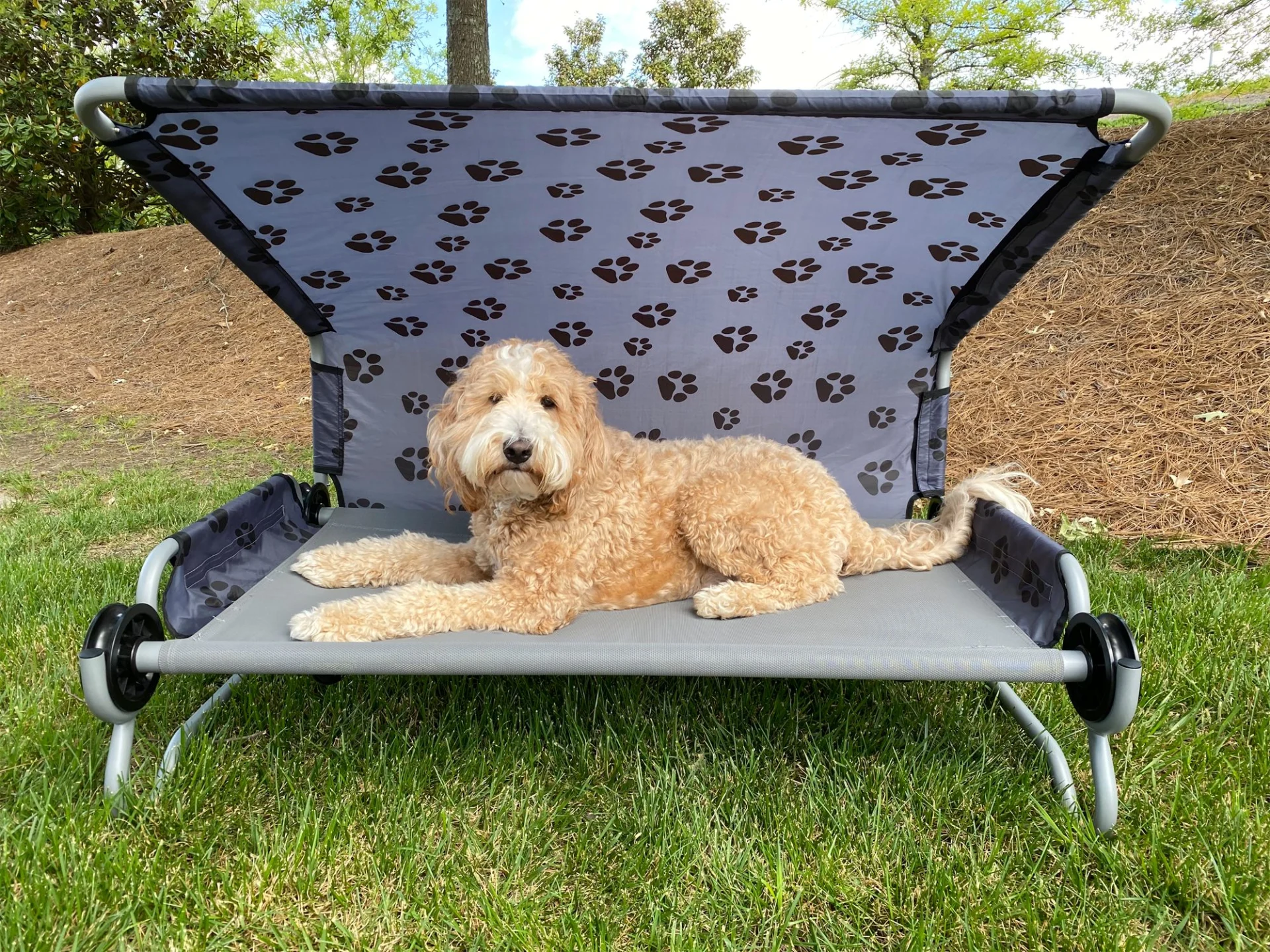 Disc-O-Bed Dog-Bed L faltbares Hundebett