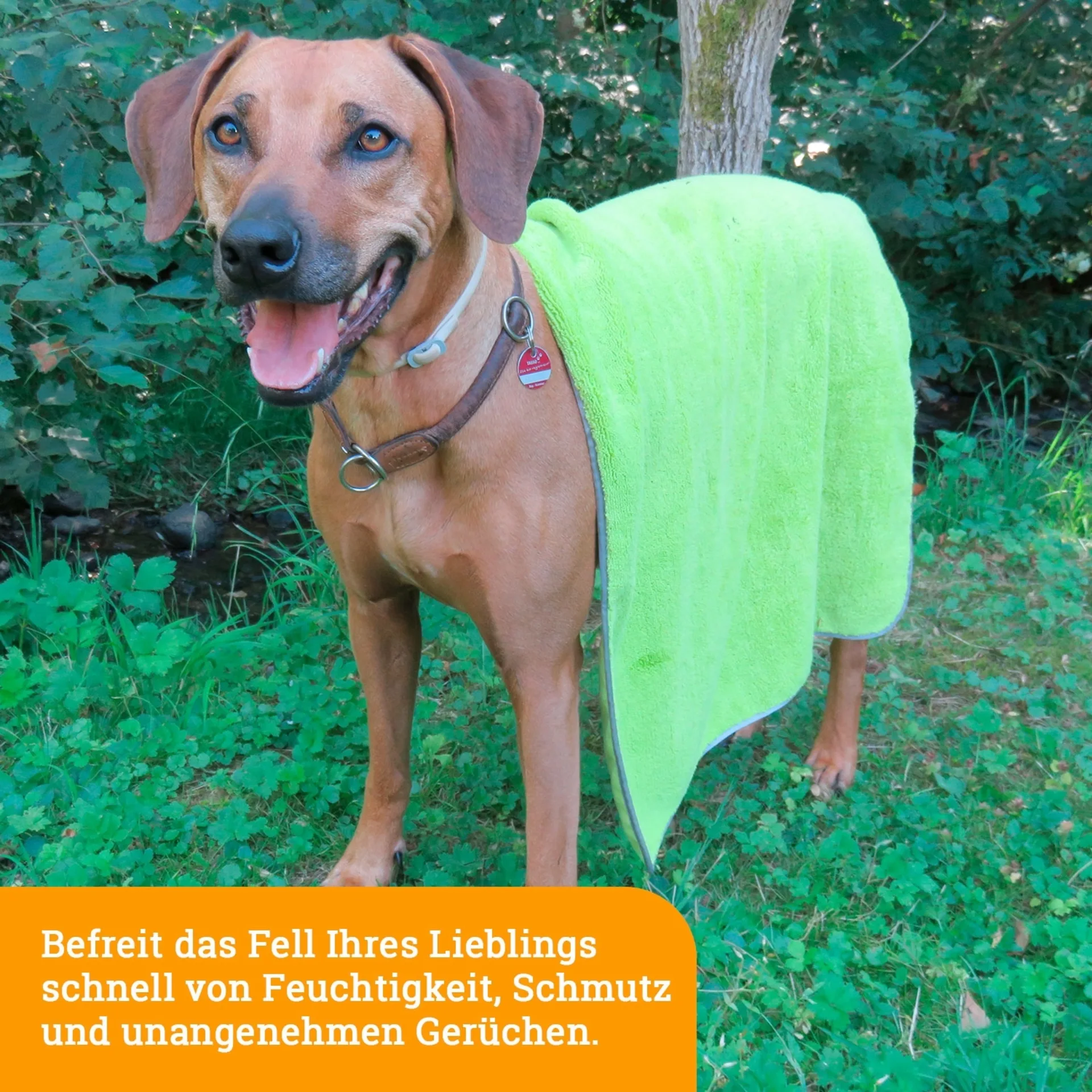 Serviette pour chien en microfibre Awiwa
