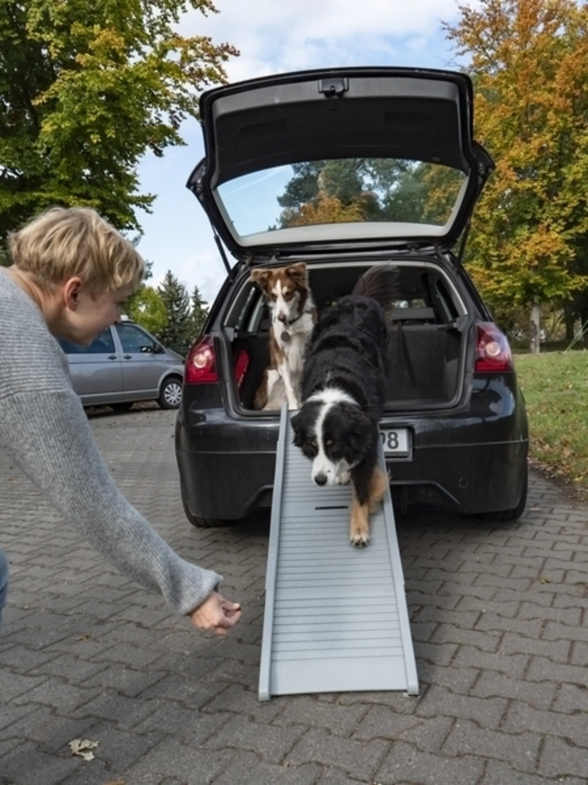 Rampe pour chien pliable en plastique Emma - aide à l'entrée pour les chiens