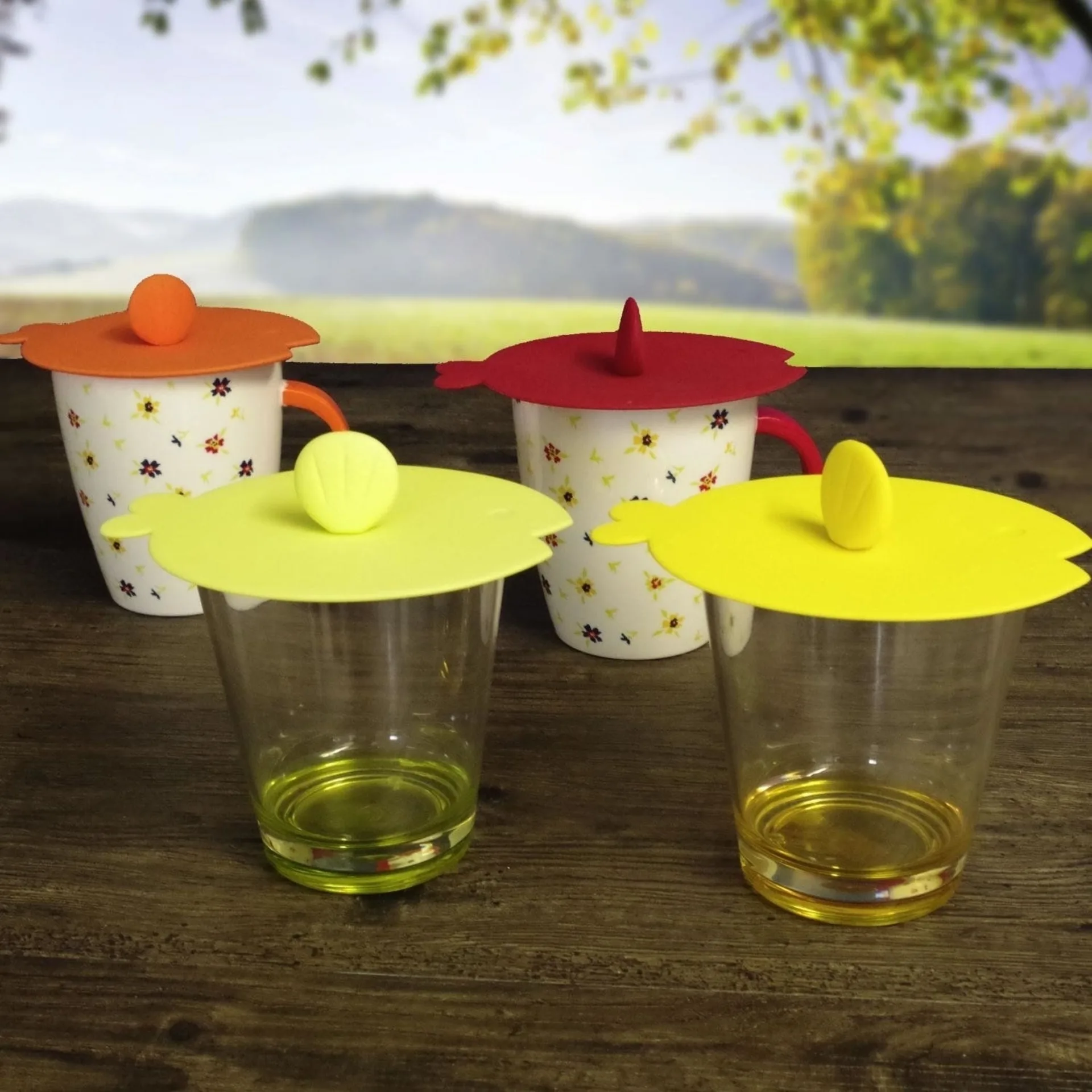 Gimex Silikondeckel Set Fisch Rainbow