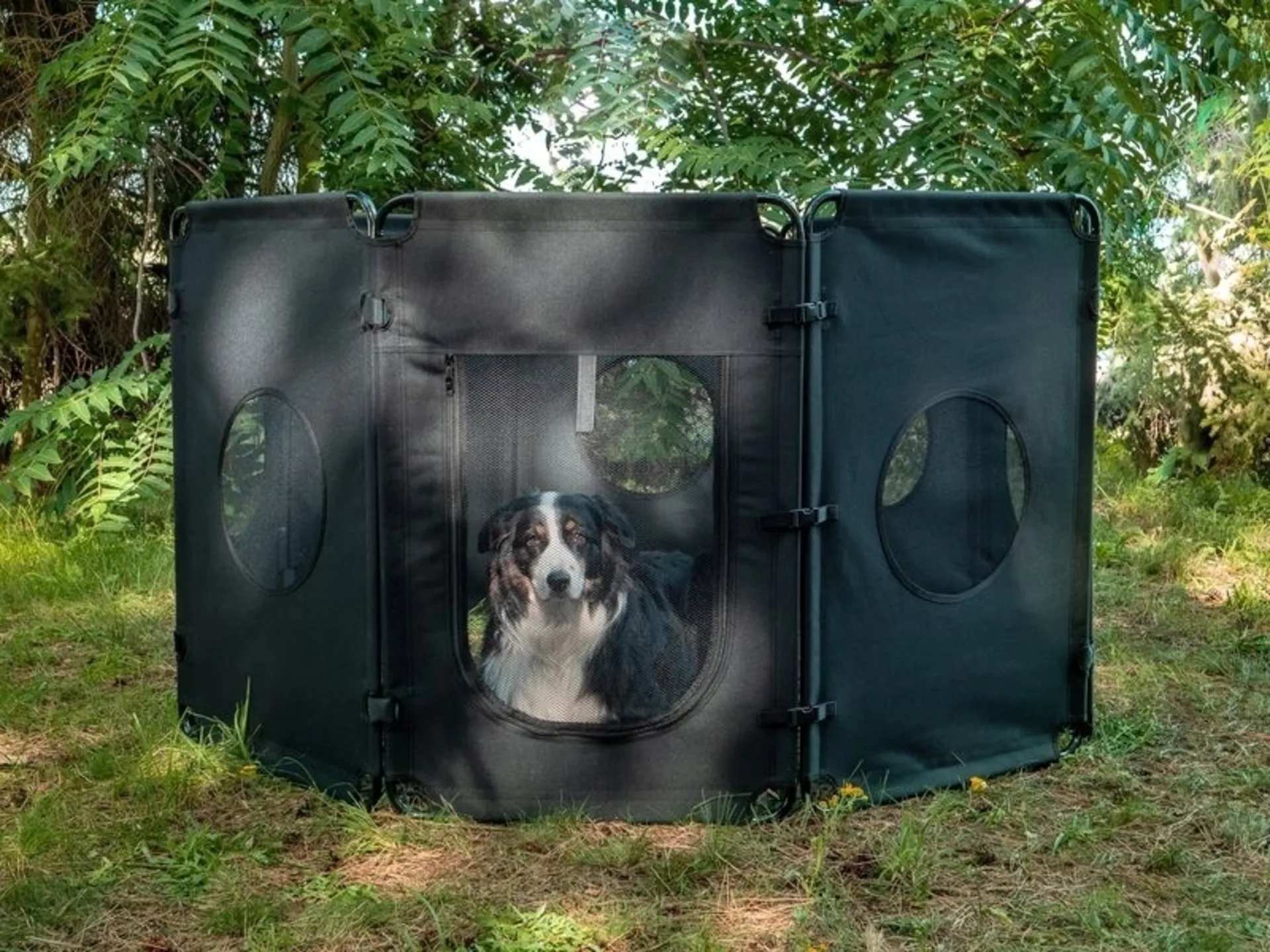 Barrière pour chien pliable de Camp4