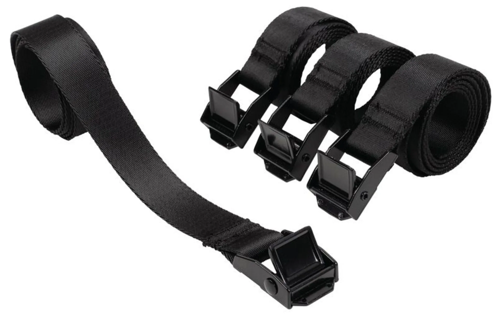 ComfortSlider M Tiroir de fixation pour glacières jusqu'à 740 x 410 mm