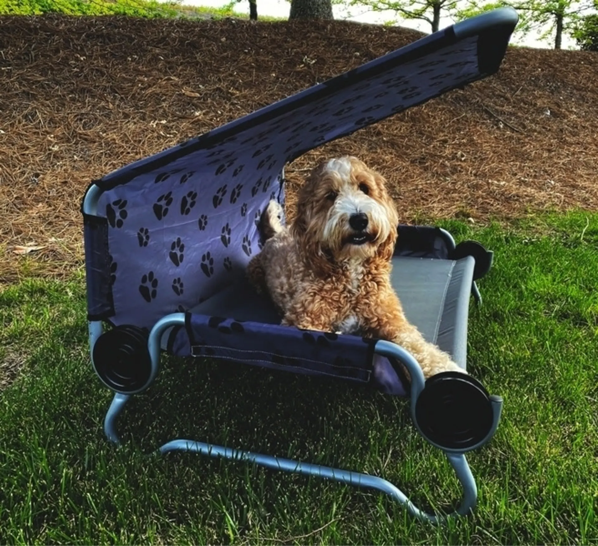 Disc-O-Bed Dog-Bed L faltbares Hundebett